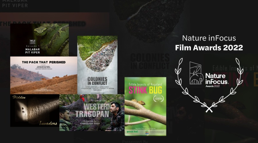 Nature inFocus Film Awards 2022: The Winners