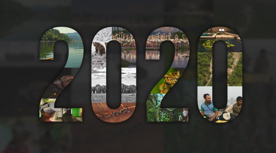 #YearEnd: Our Favourite Stories Of 2020