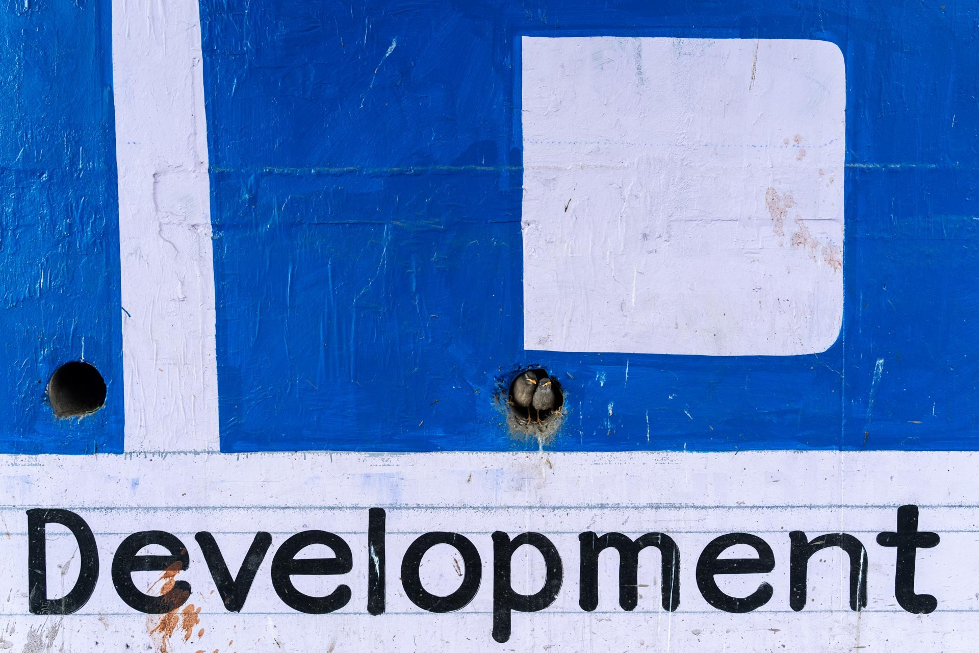 Development