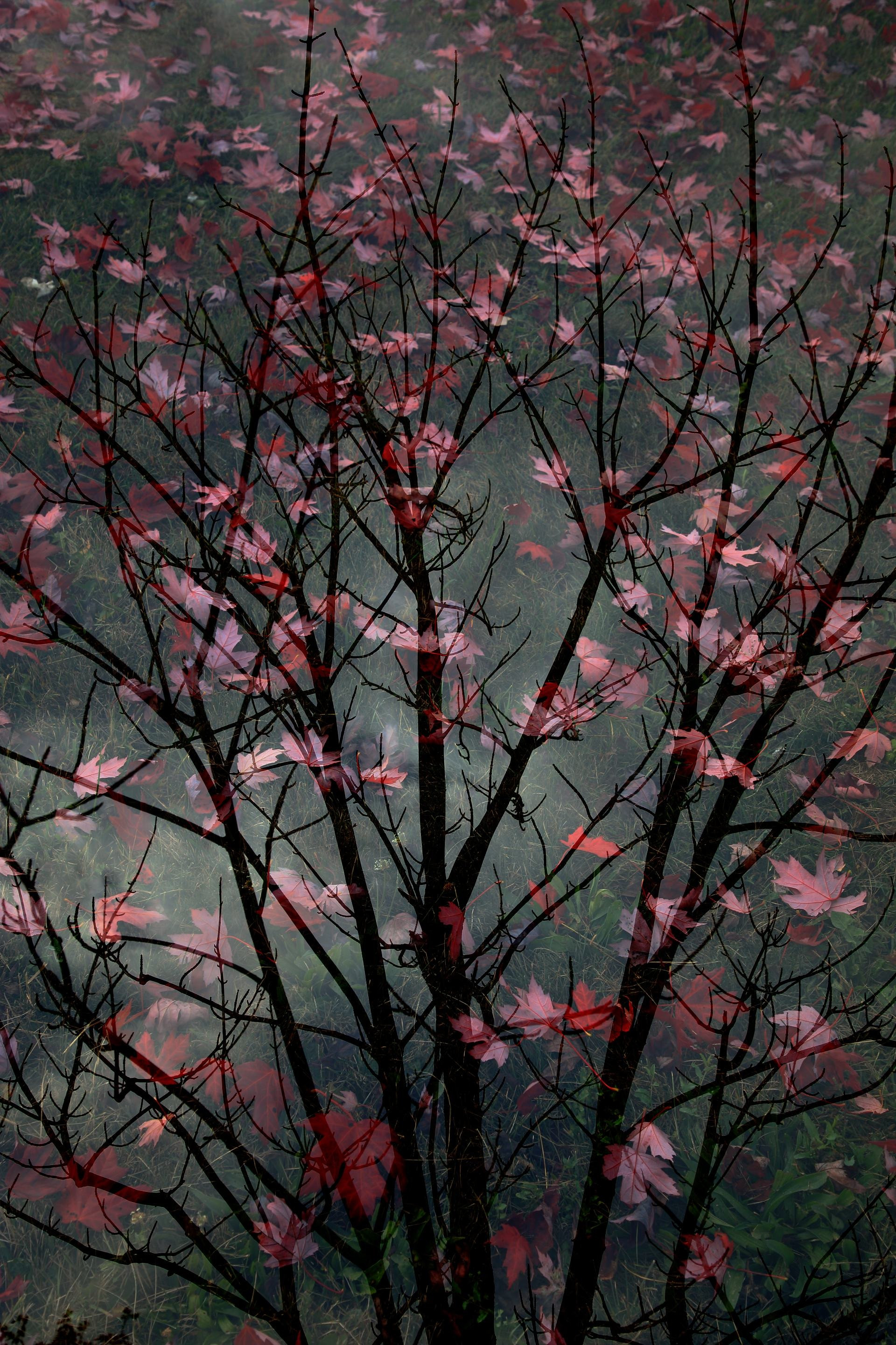 Falling Colours