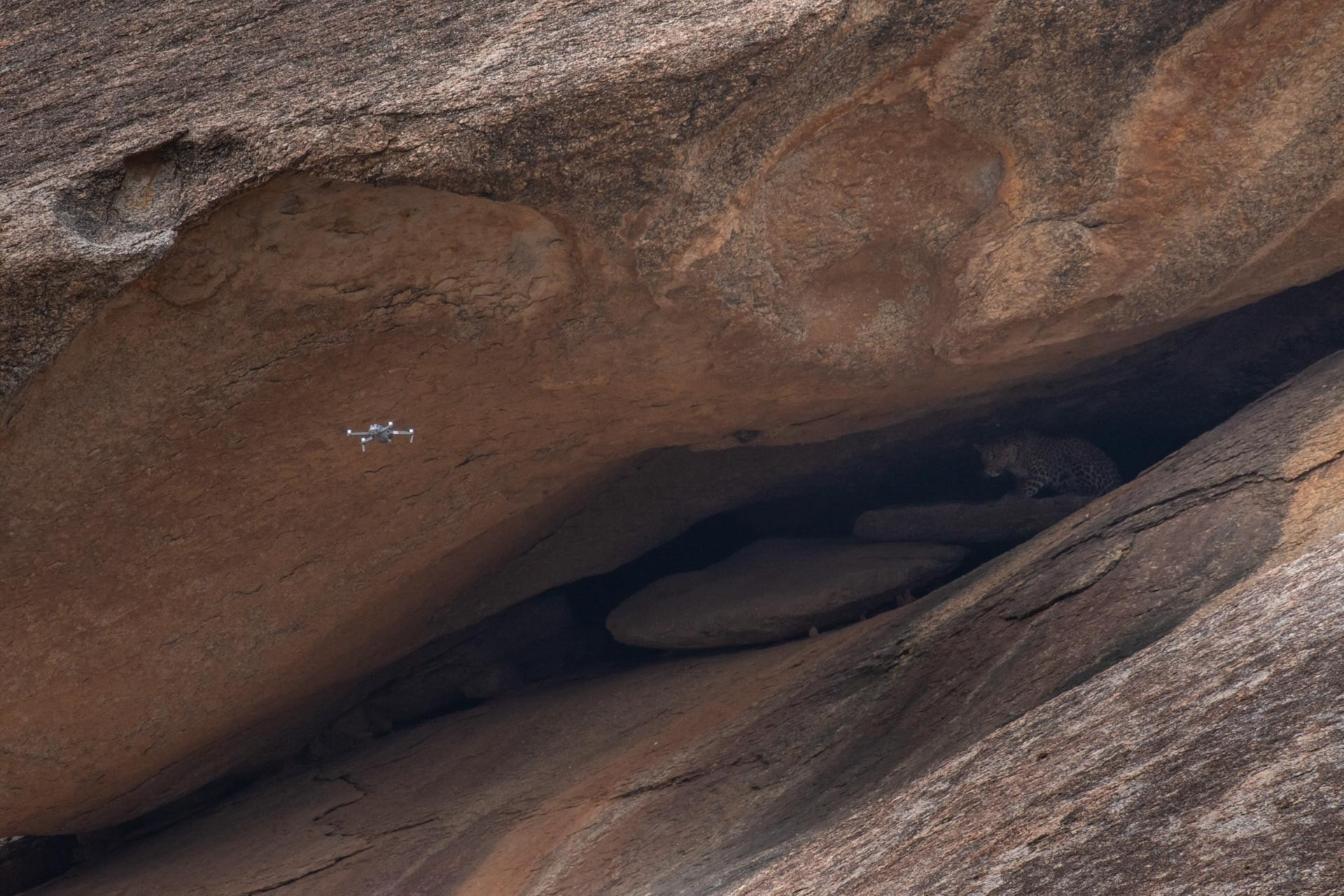 Drone Disturbance