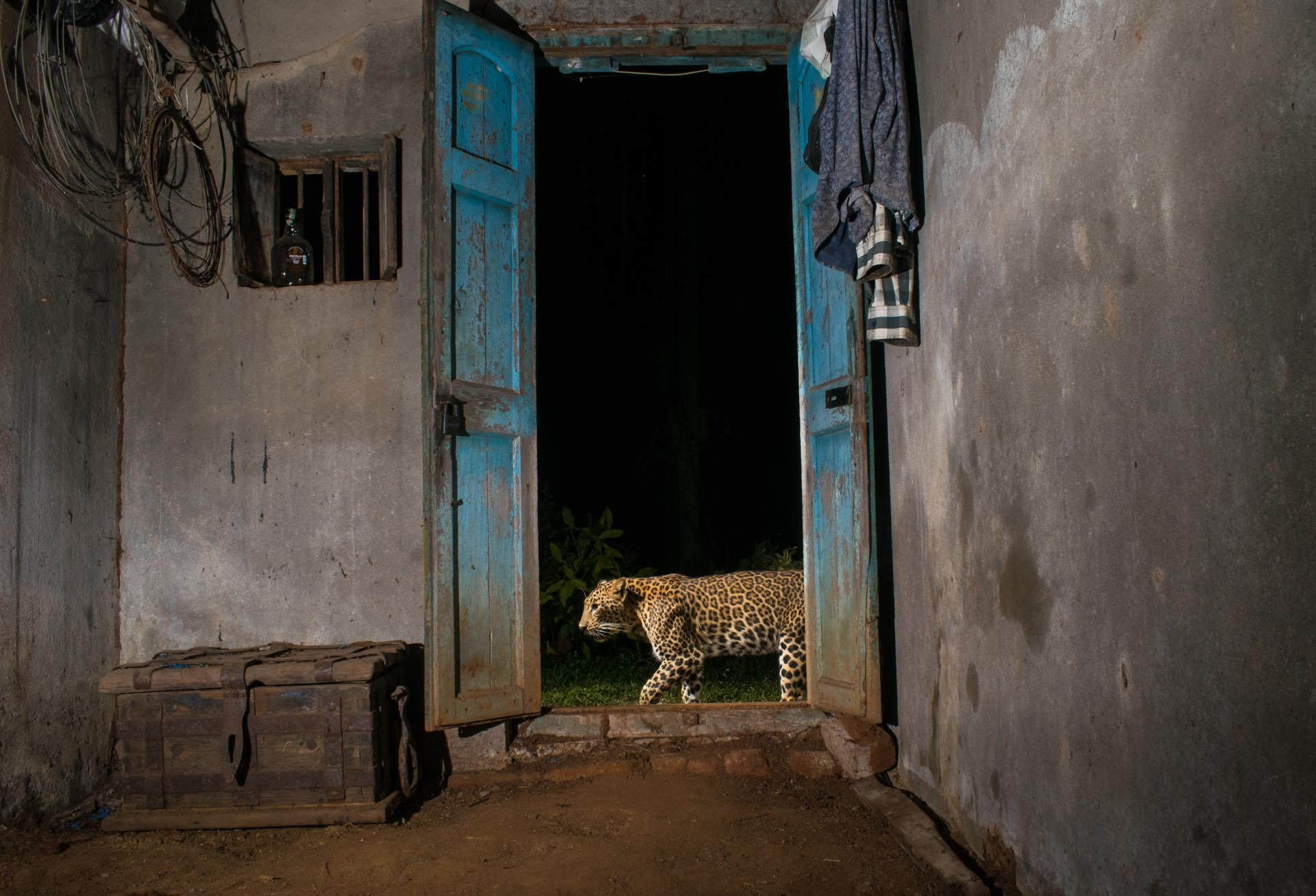 Next-door Neighbour