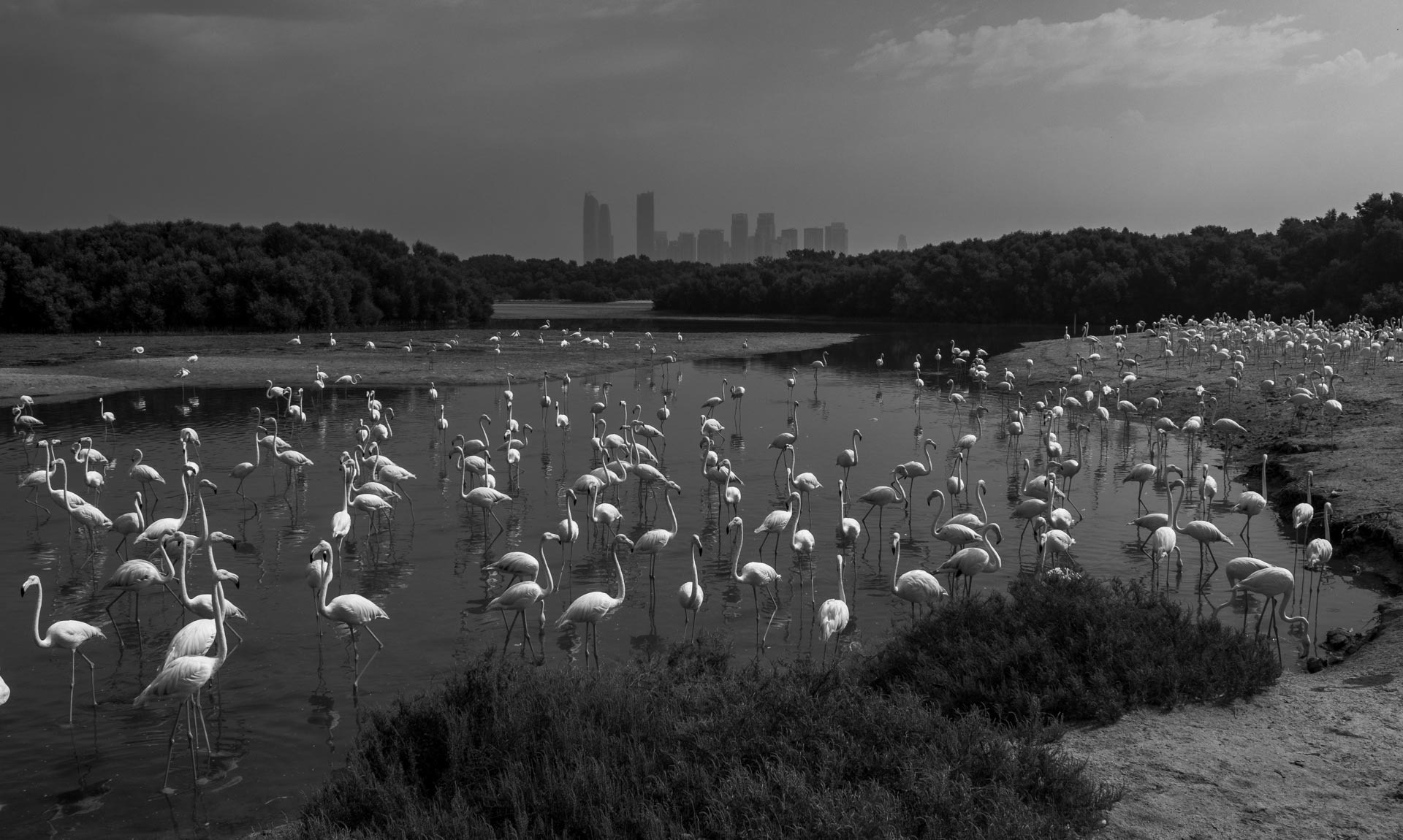 Urban Oasis
