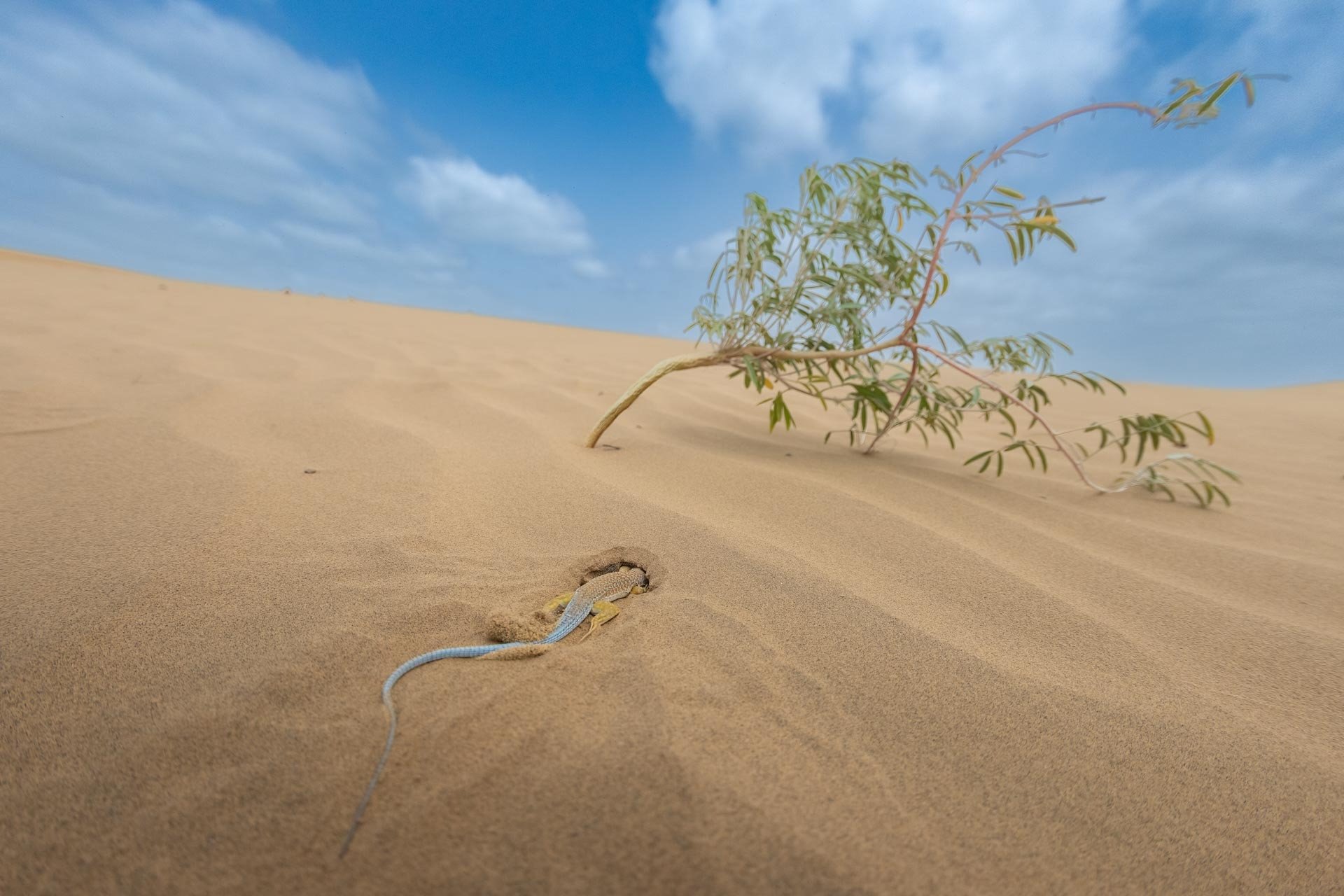 Into the Sand