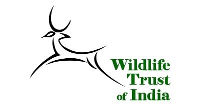 Wildlife Trust of India