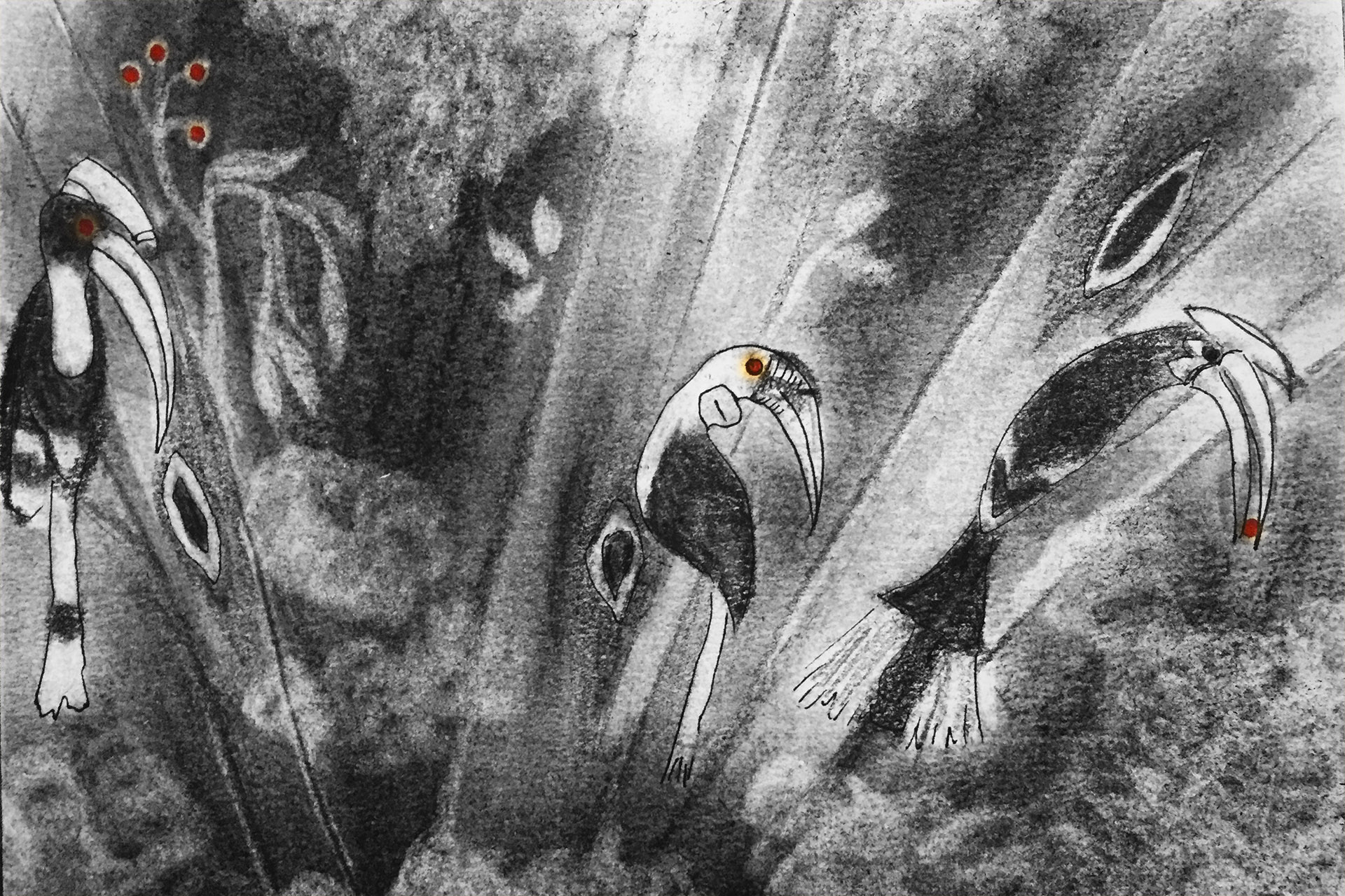 Hornbills - Hope For The Hornbills | Nature inFocus
