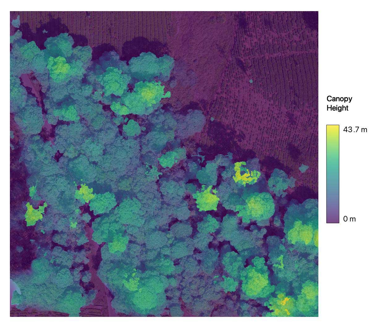 Drone heightMap | Nature Infocus