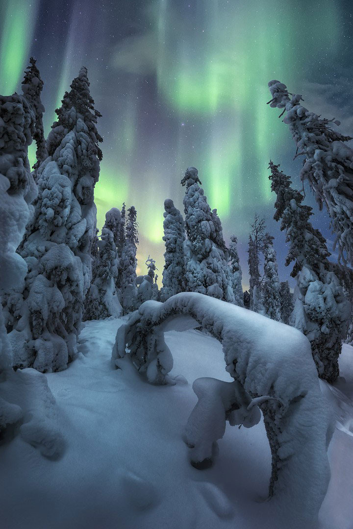Northern Lights in Riisitunturi National Park in Finnish Lapland