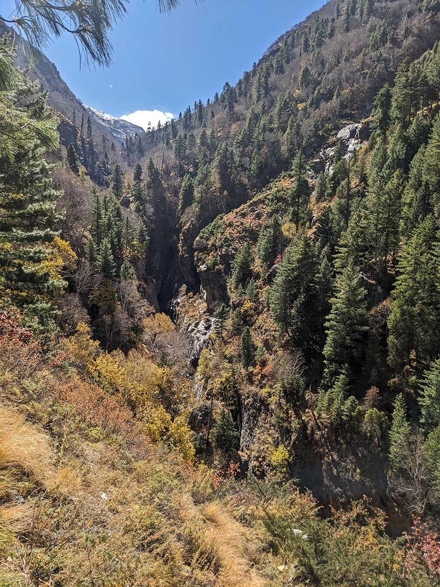 Rudragaira Valley in Gangotri National Park