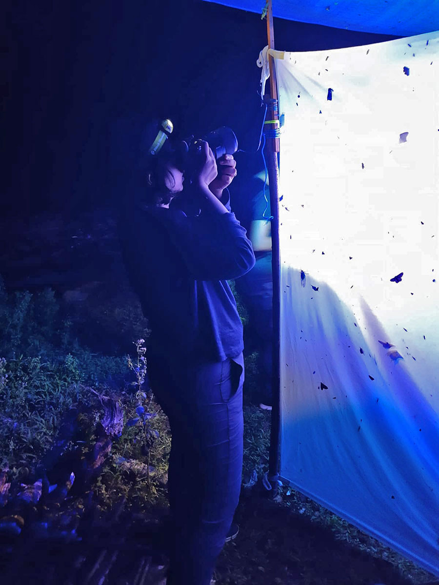 Pritha Dey documents moths in Agumbe, Karnataka | Nature inFocus