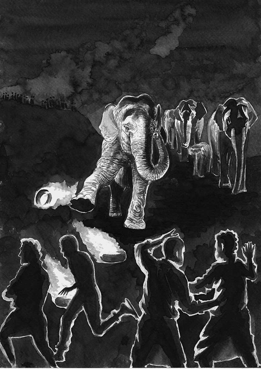 Human-elephant conflict | Illustration by Sartaj Ghuman