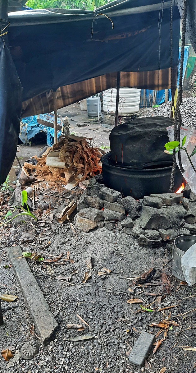 Preparation to boil black clams