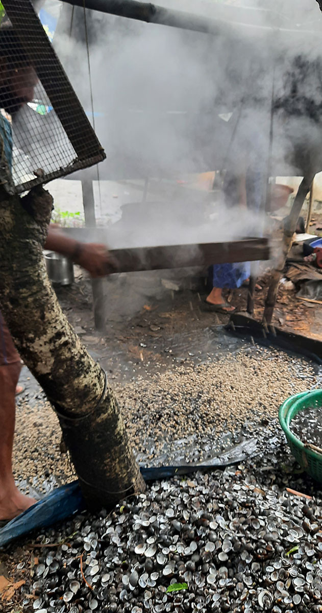 sieving ria | Nature Infocus