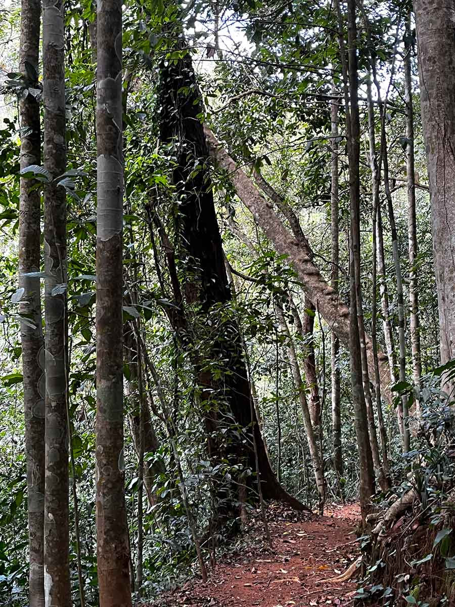      Trail GurukulaERA | Nature Infocus