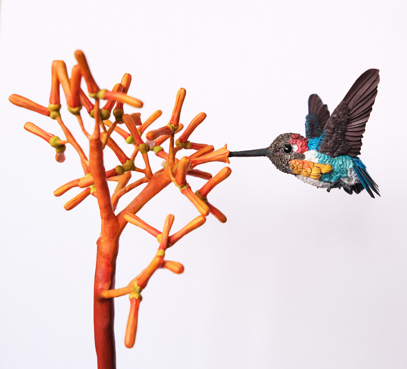 Bee hummingbird - Niharika Rajput: Sculpting Conservation, One Bird At A Time | Nature inFocus