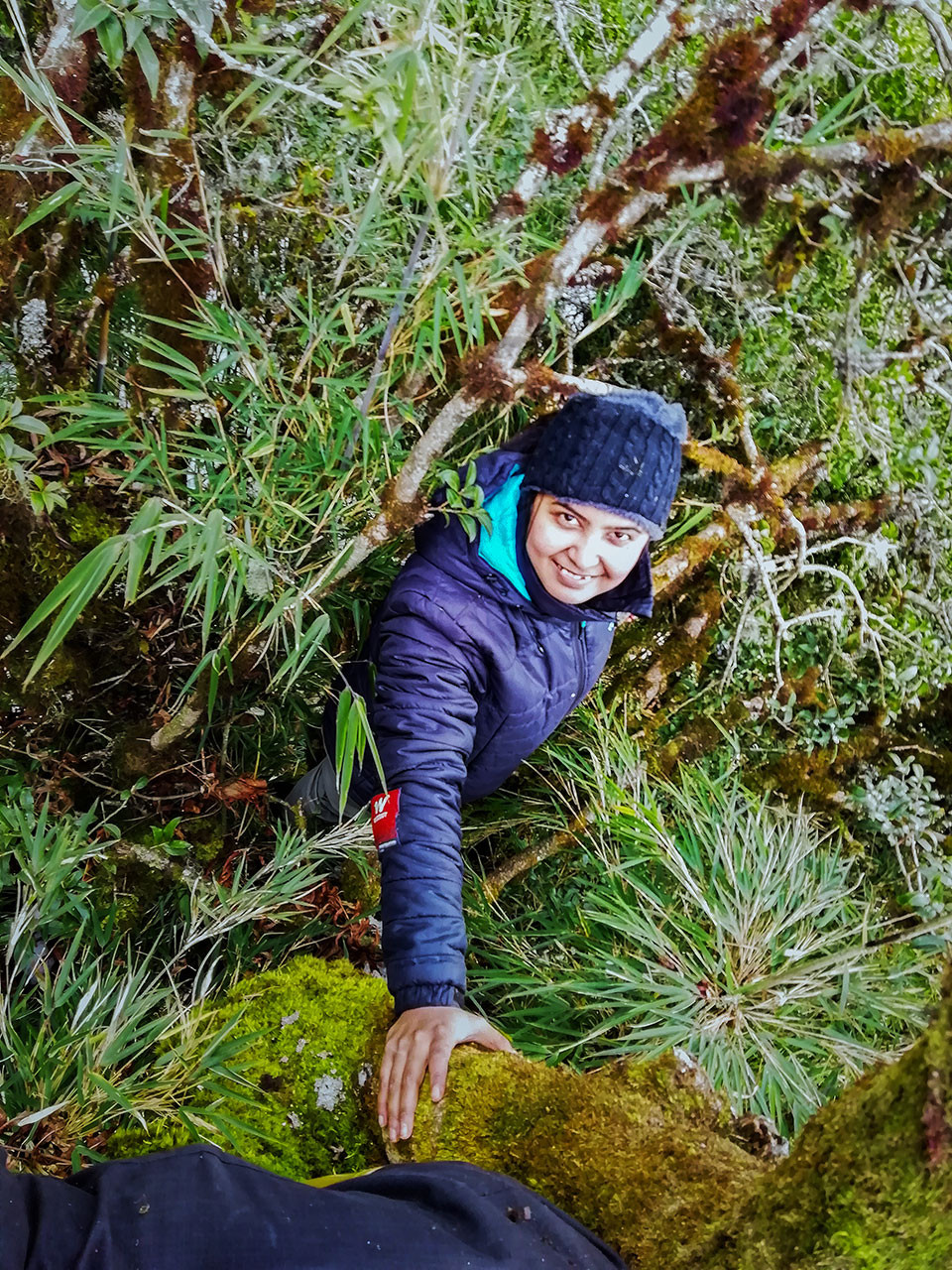 Red Panda researcher Moumita Chakraborty