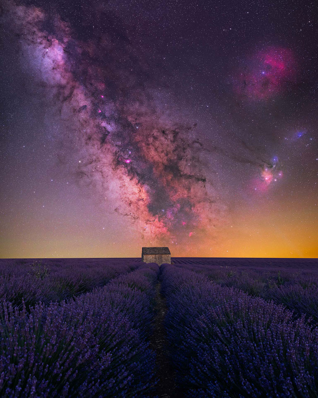 Milky way with lavender fields at Valensole in France