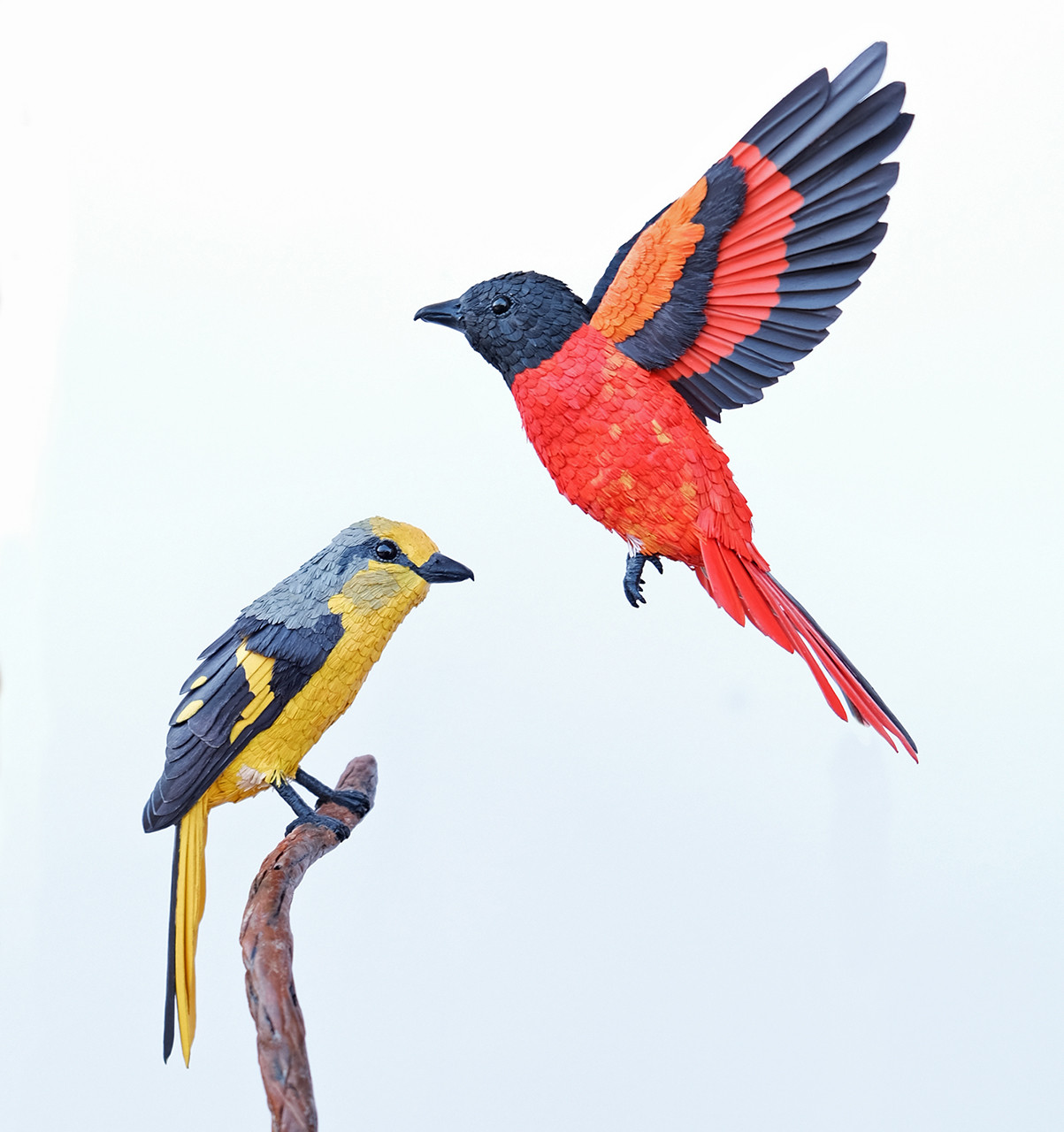 Minivets together final - Niharika Rajput: Sculpting Conservation, One Bird At A Time | Nature inFocus