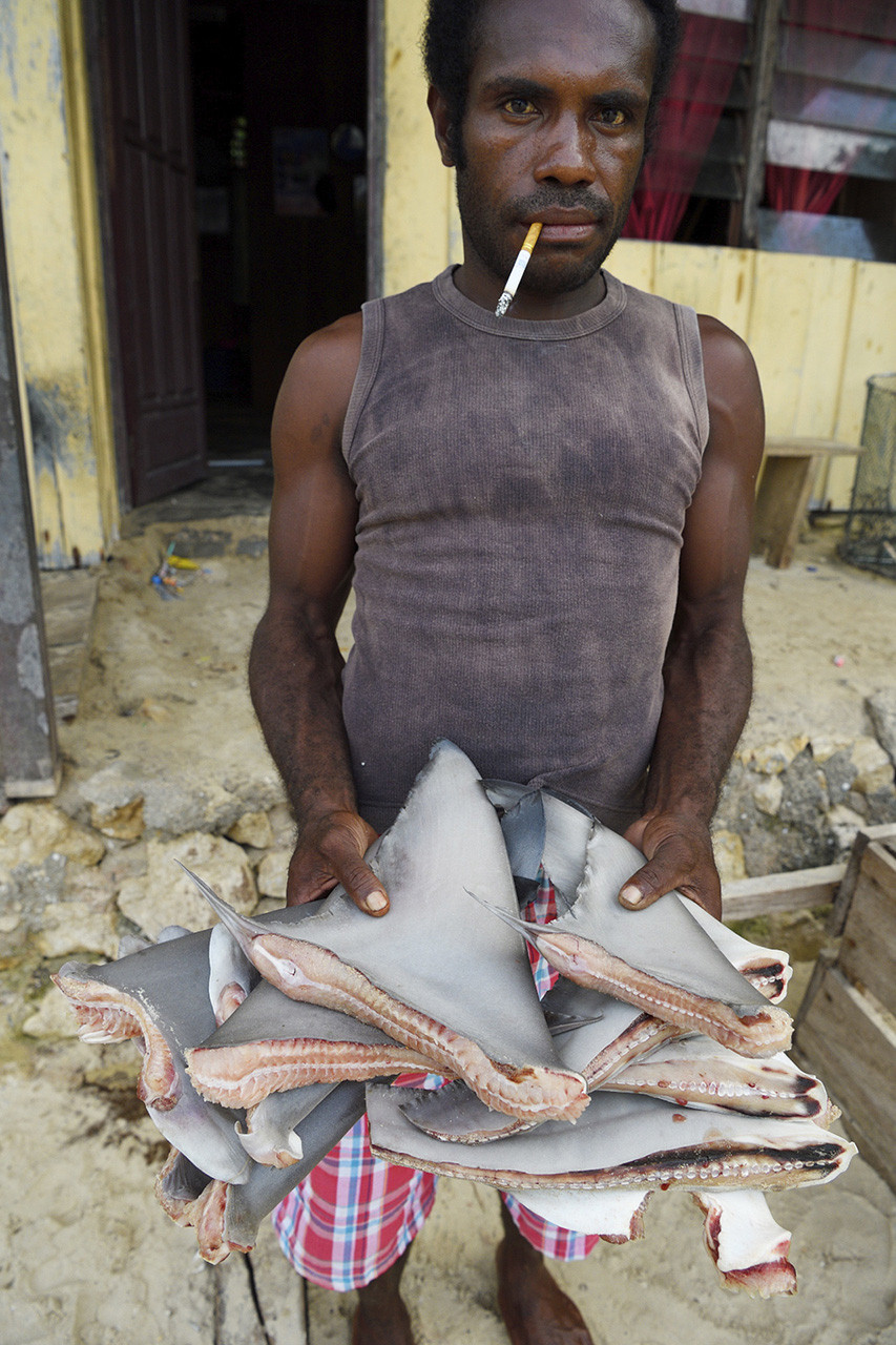 v Staffan Widstrand swd | Nature Infocus