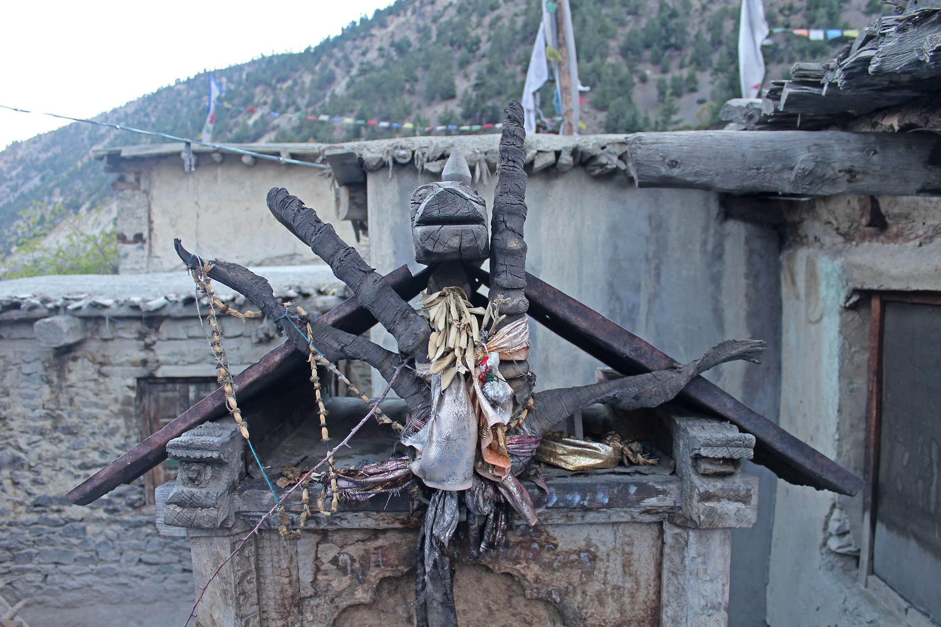 Ibex horns used as offerings to local deities in the Himalayas
