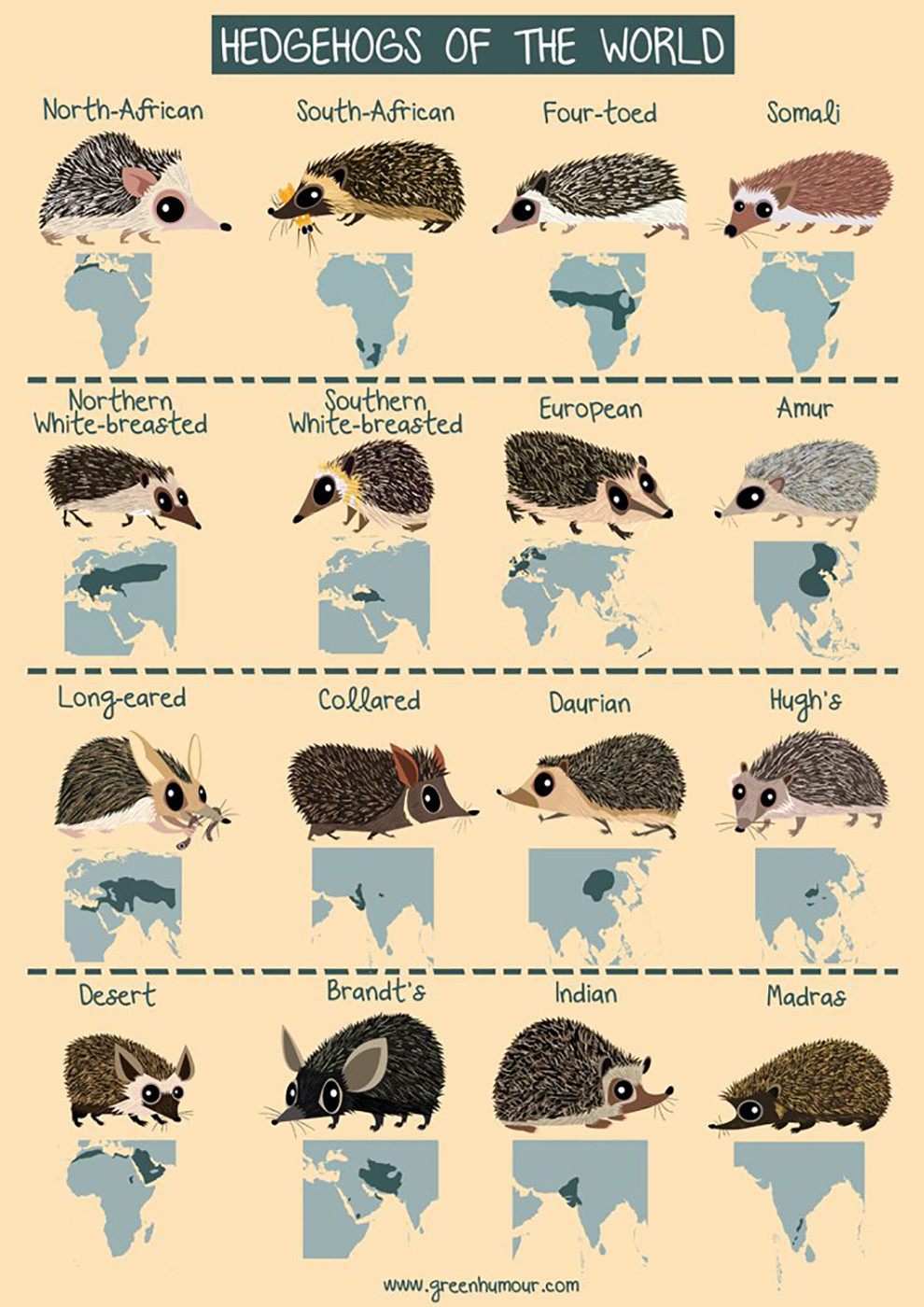 Hedgehogsoftheworld - Quick Five: Brawin Kumar | Nature inFocus