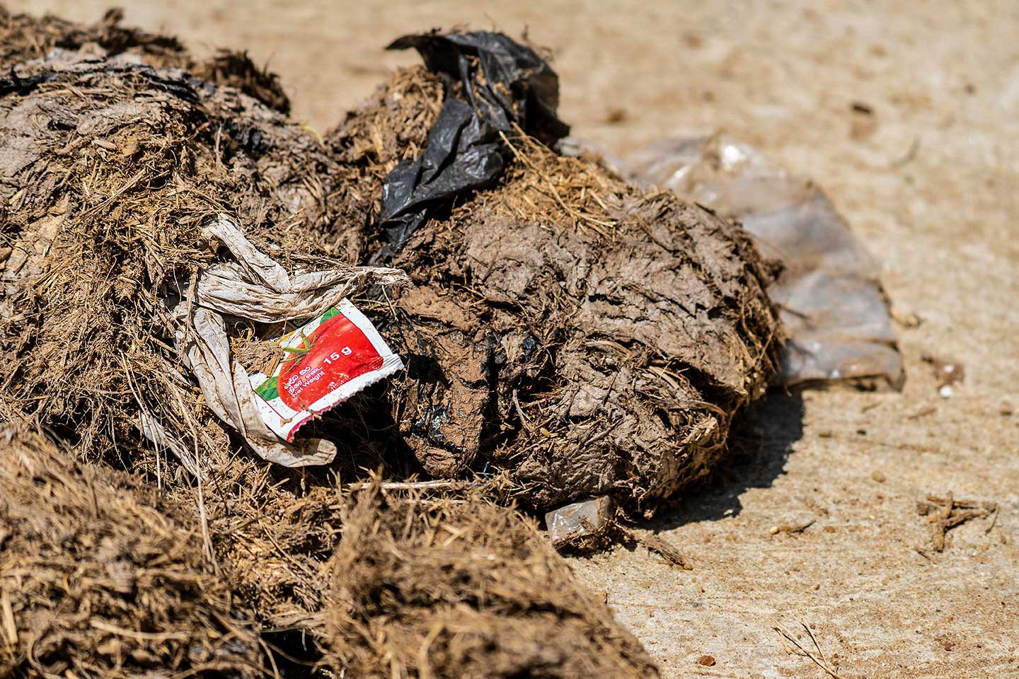 Plastic in elephant dung