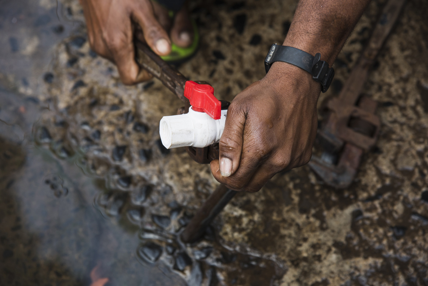 Acts jenniferkishan fixforlife - The Layman's Guide To Water Conservation | Nature inFocus