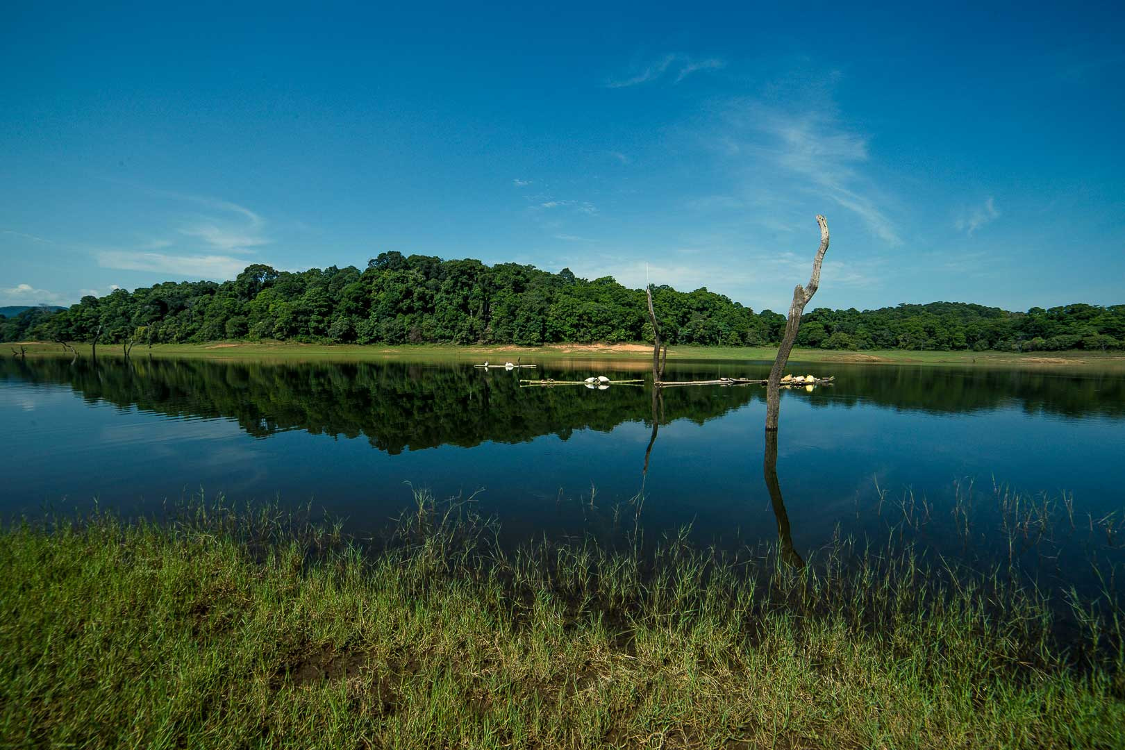 A lake in Periyar Tiger Reserve in Kerala