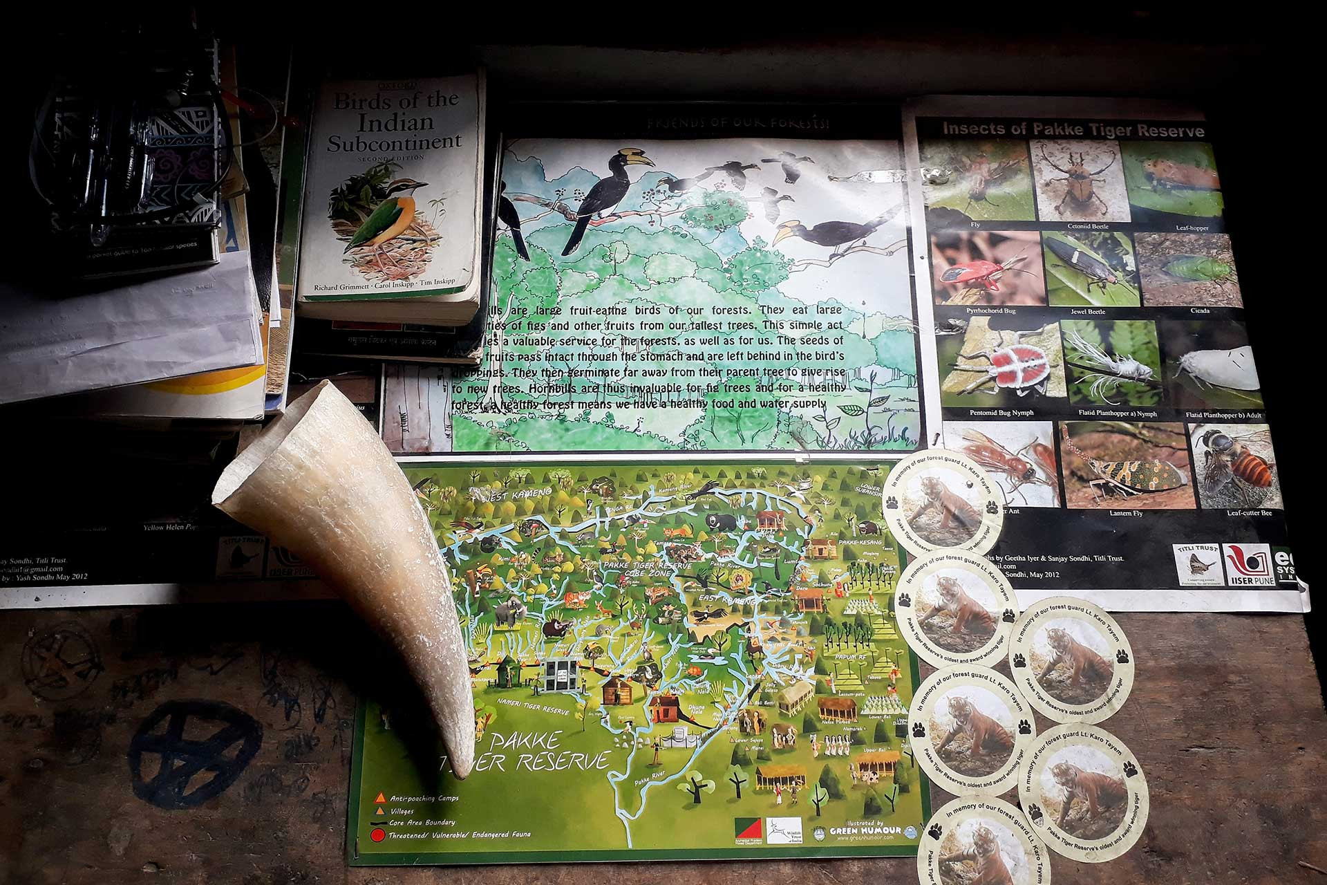 opening AshokTallang StudyTable | Nature Infocus