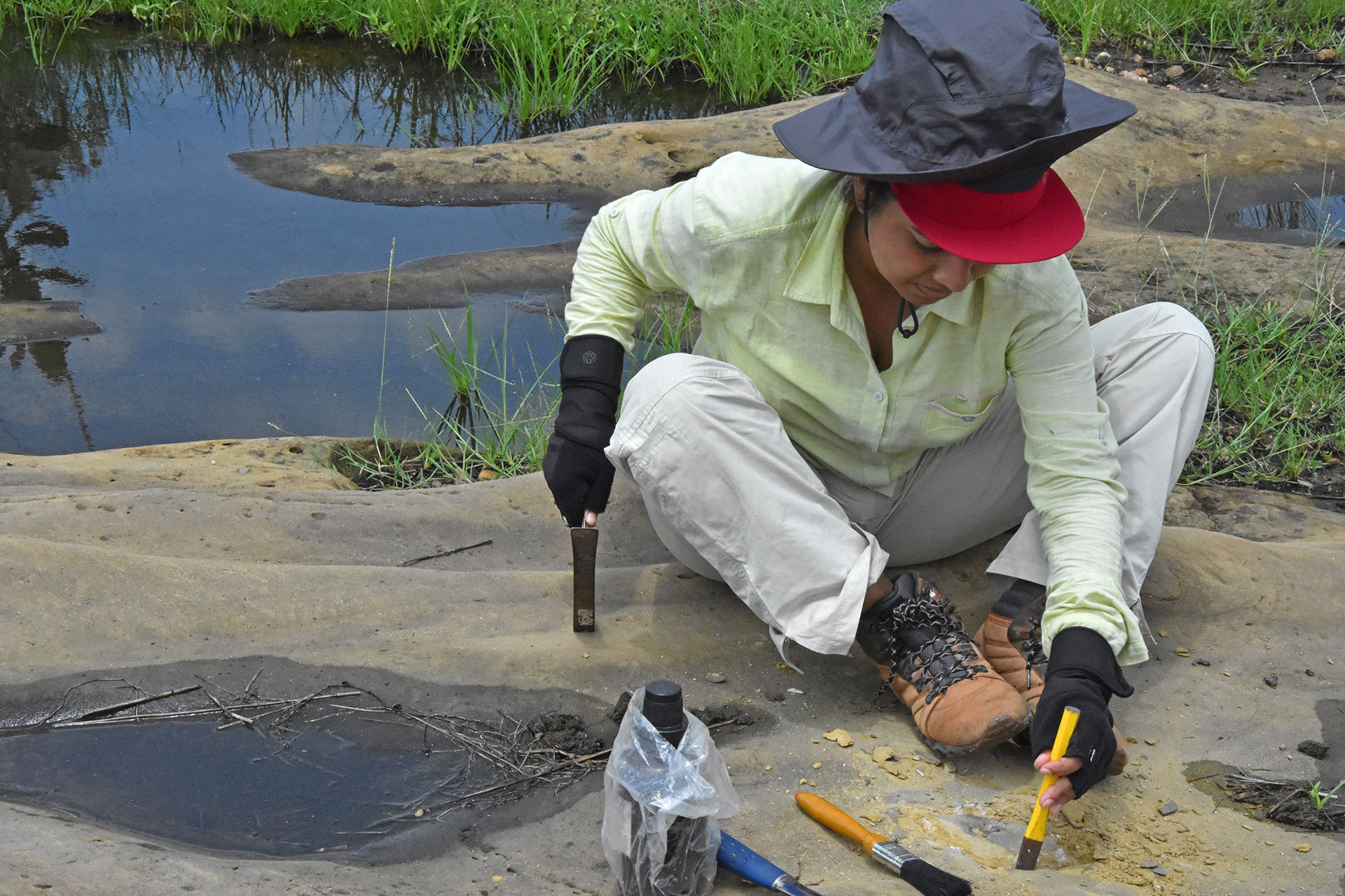 Excavation alone in panchet - Dinosaur Lady | Nature inFocus