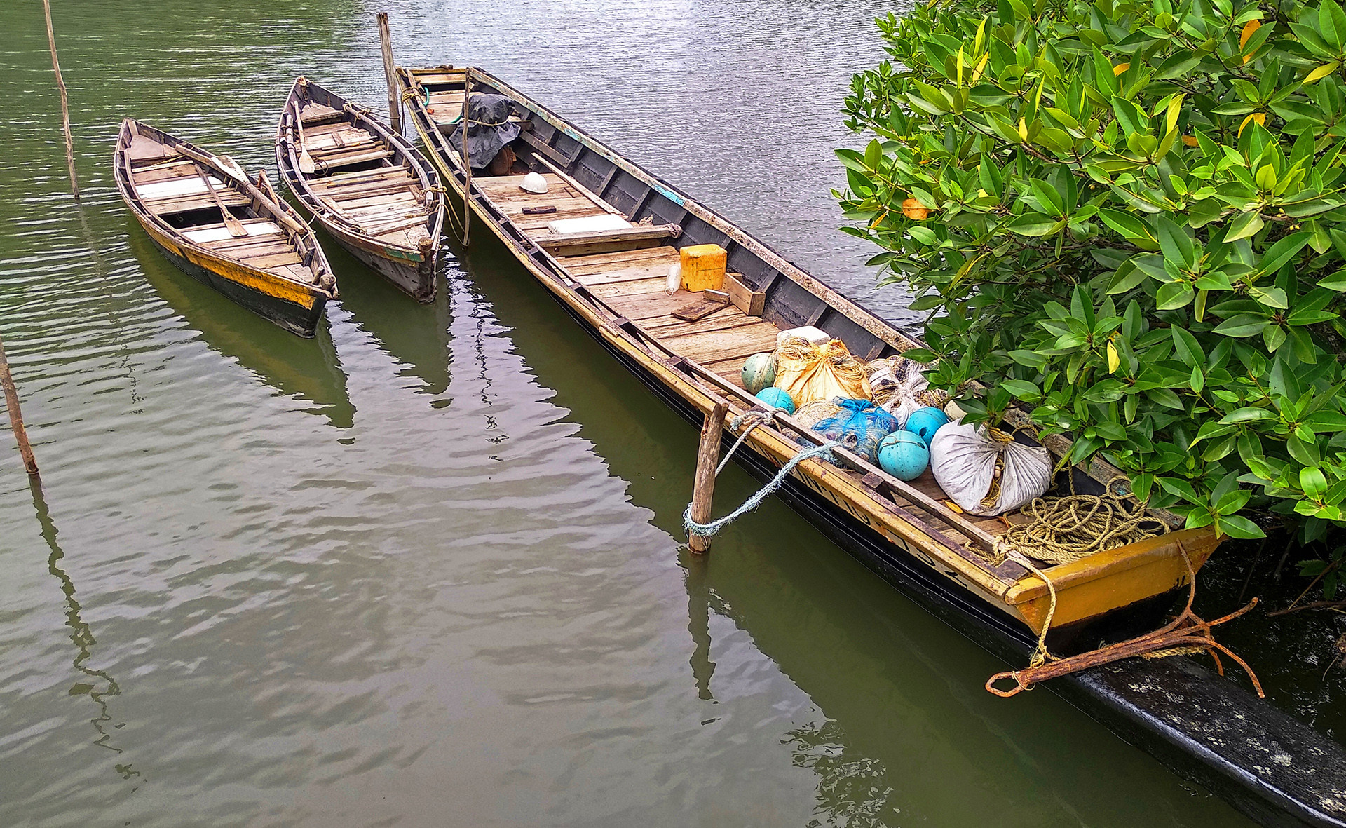 Haleej anshul john - A Sea Of Knowledge | Nature inFocus
