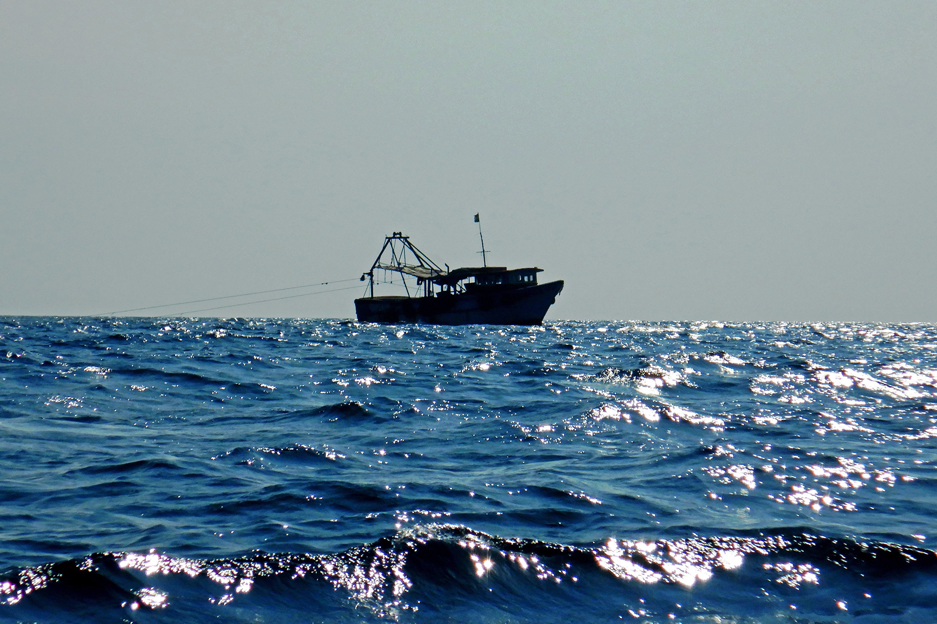 Trawlers swapnali gole - A Sea Of Knowledge | Nature inFocus