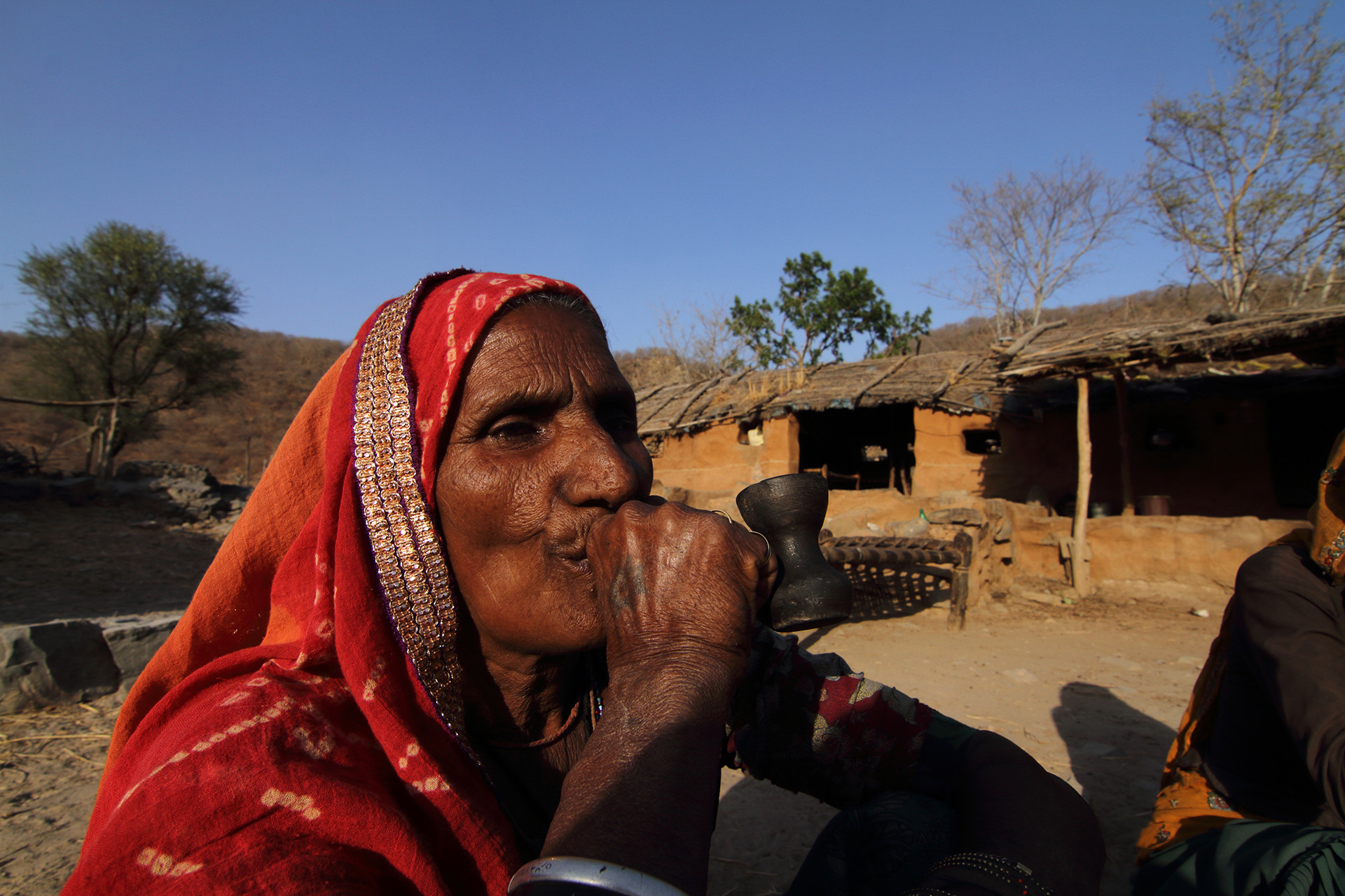A villager - The Changing Diet Of Tigers In Sariska | Nature inFocus