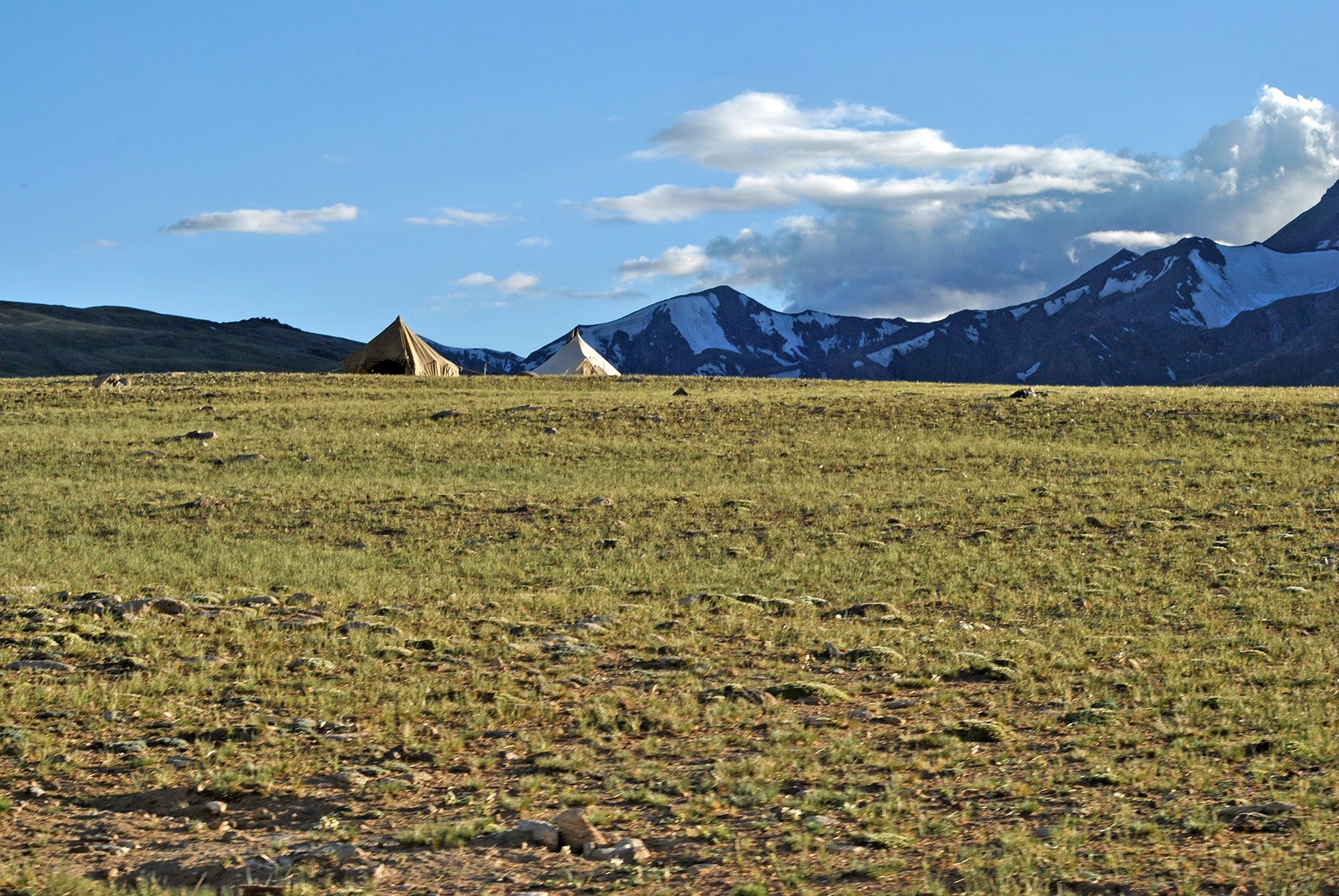 Changthang plateau in the Himalayas