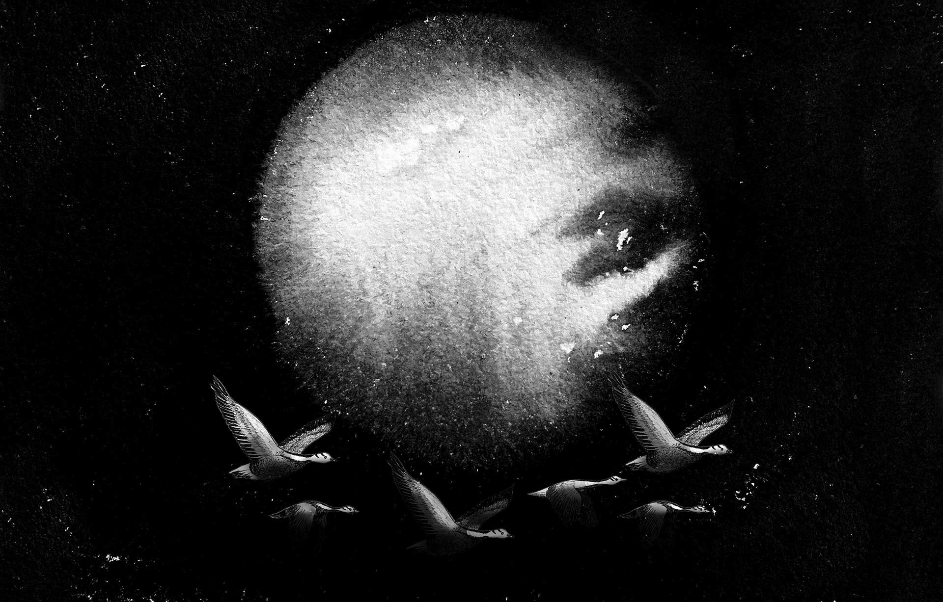 Arati Kumar Rao illustration for Blue Sky White Cloud by Nirmal Ghosh