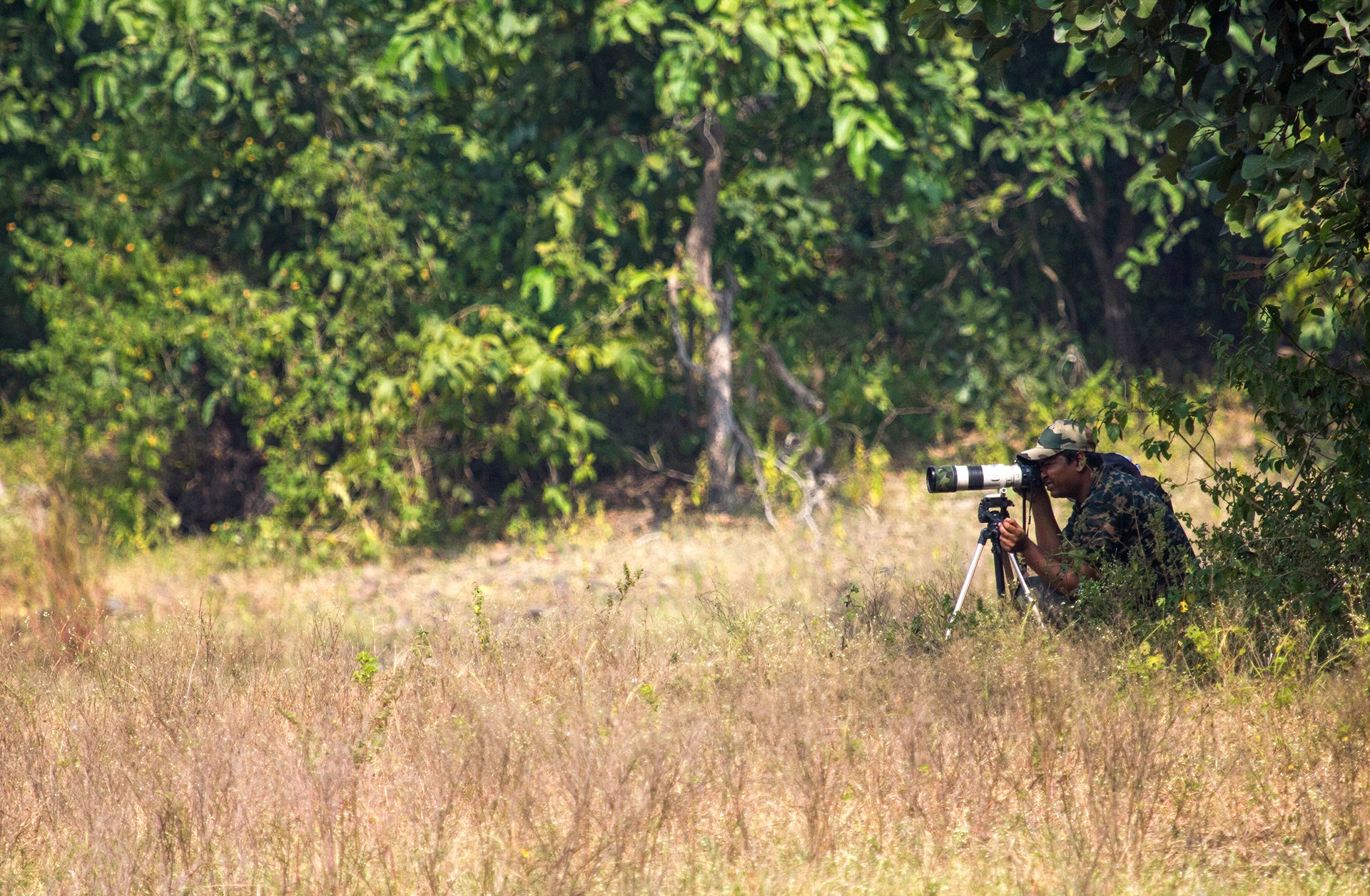 Birdwatching at Ambazari Lake