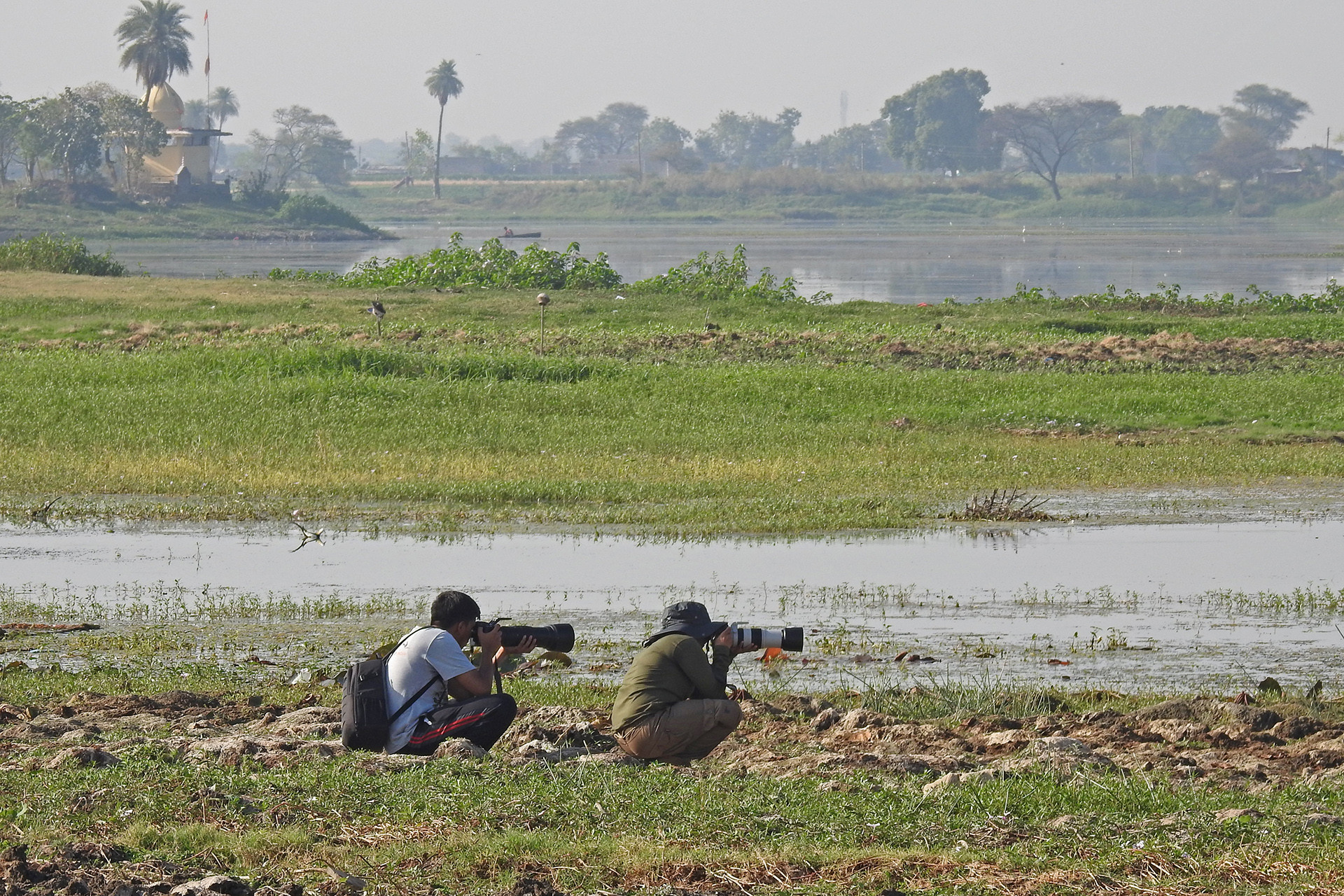 Bird photography yeshwant sagar - 13 Places To Go Birdwatching In Indore | Nature inFocus