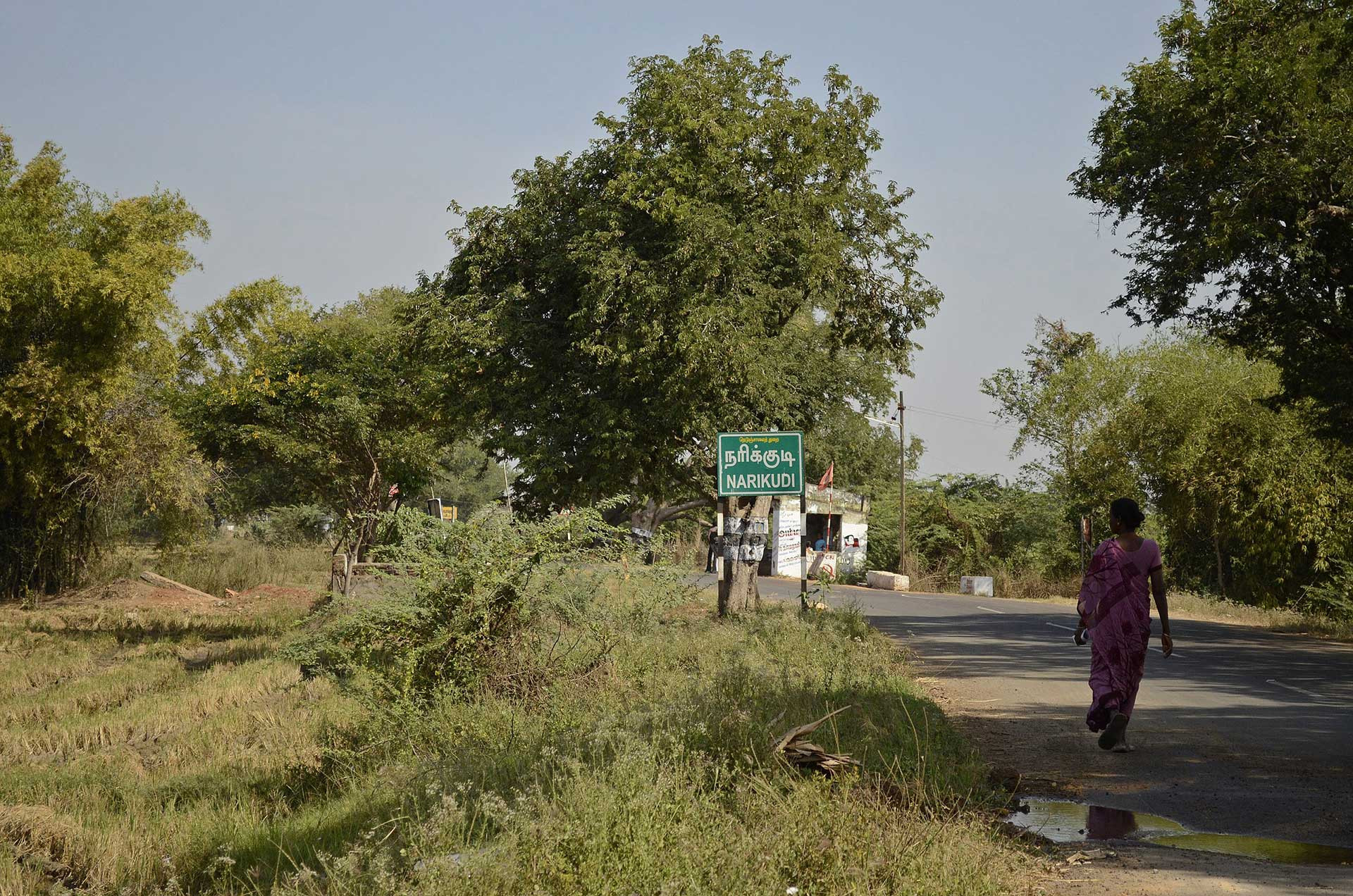      Board showing Narikkudi village JEG     | Nature Infocus