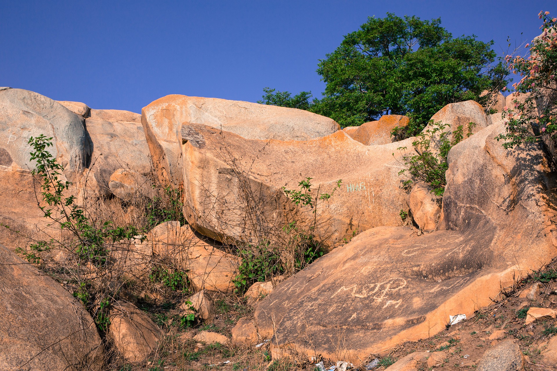 The hillock in Chikkabettahalli was once the second-highest peak in Bengaluru | Nature Infocus