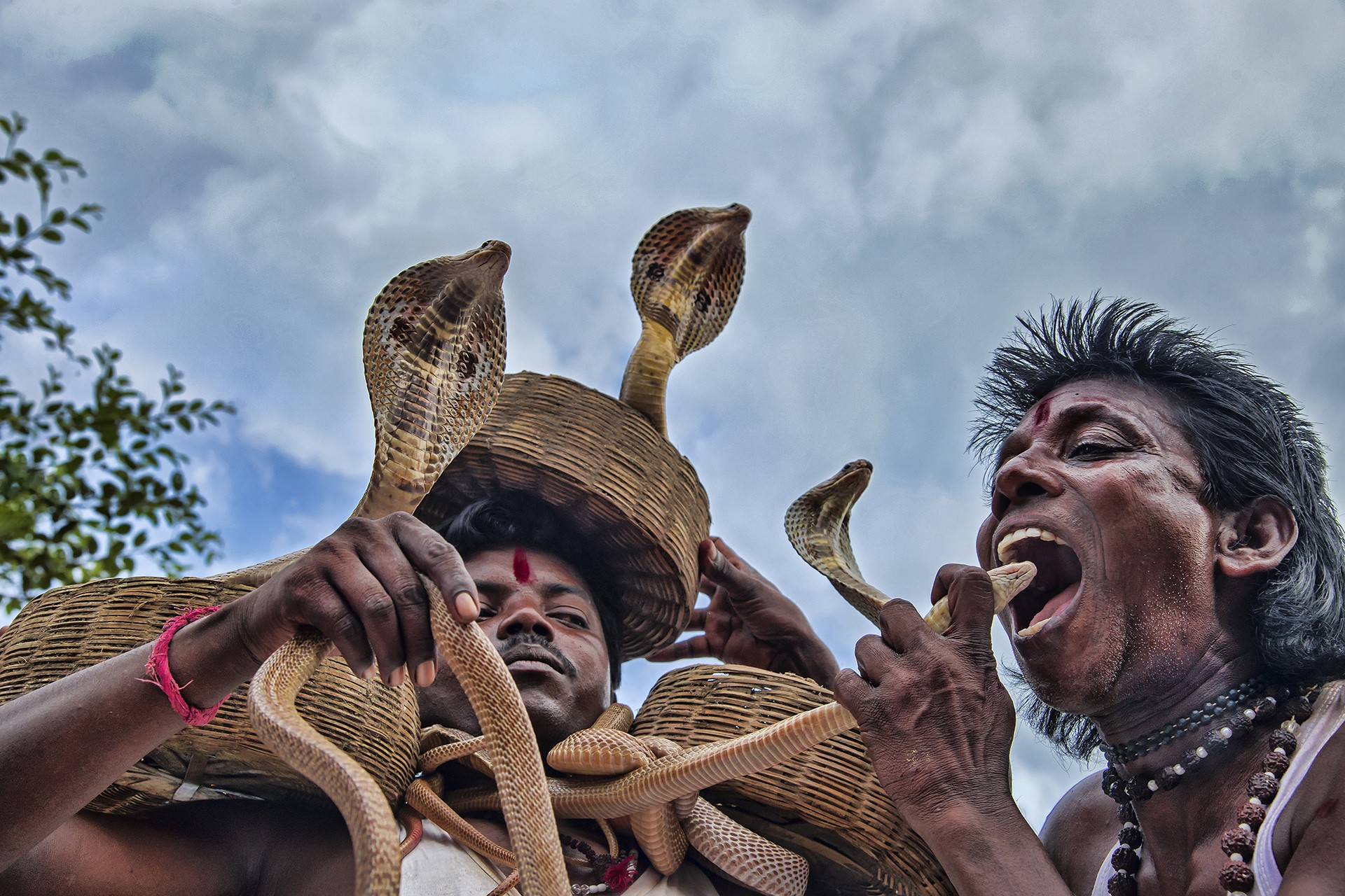 Conservation issues   pradyut kumar das - Nature inFocus Photography Awards 2018: The Winners | Nature inFocus