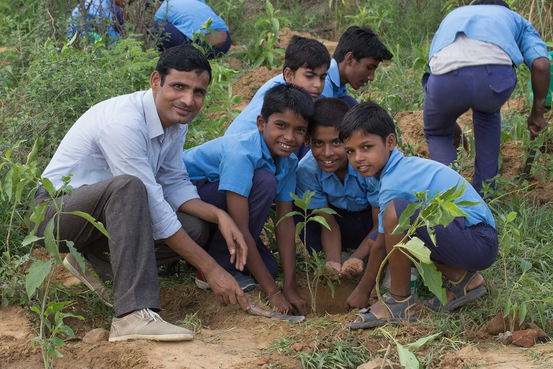      Copy of nursery  | Nature Infocus