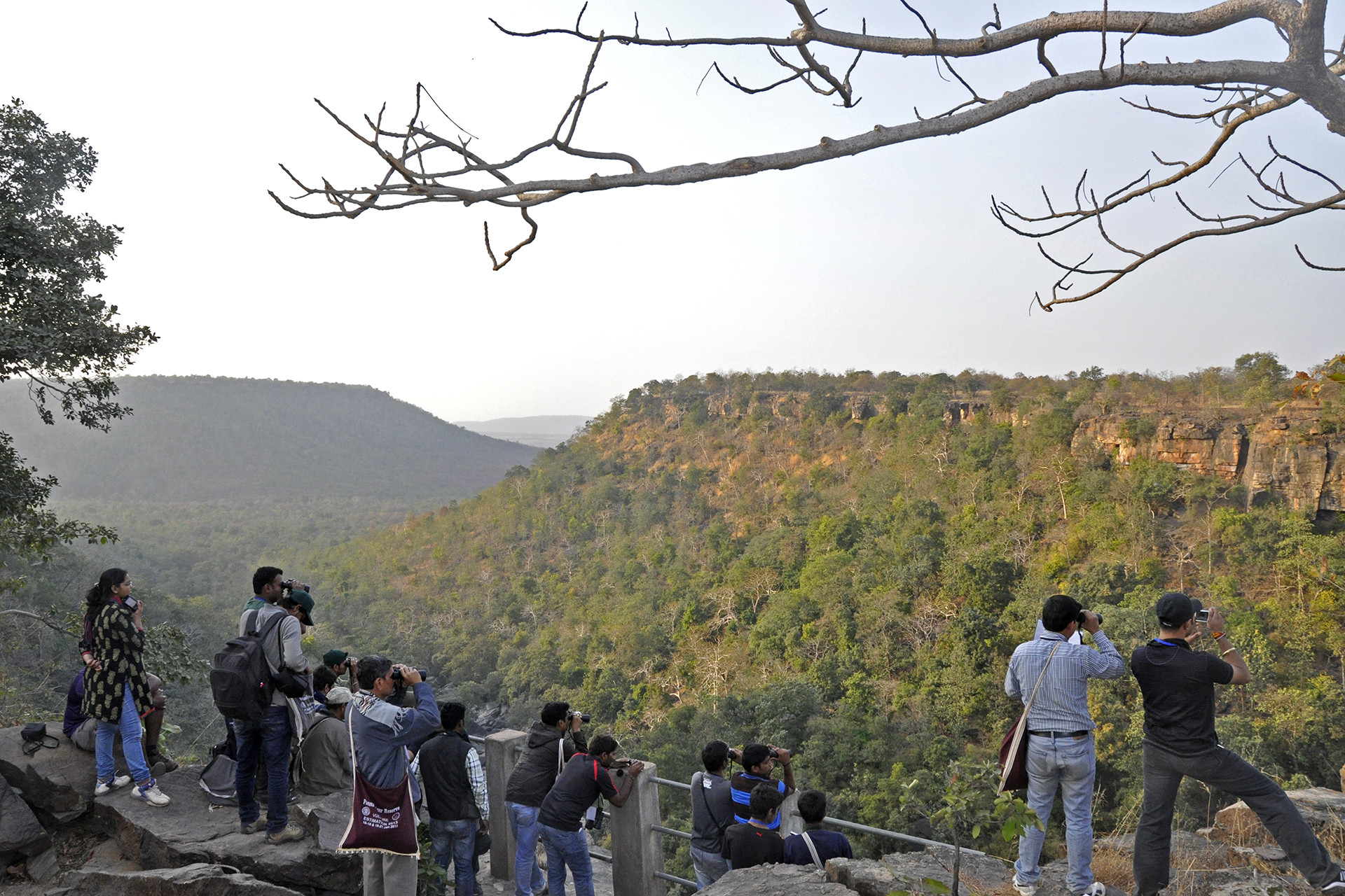 Counting vultures at the panna tiger reserve - Birders Flock To The Forests Of Madhya Pradesh | Nature inFocus
