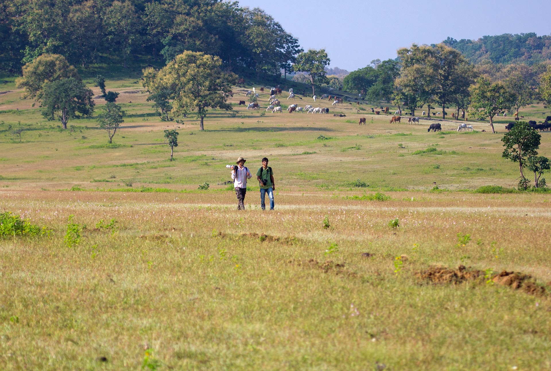 Birdwatching in Degma Forest Nagpur