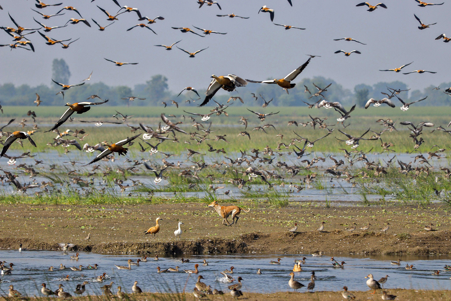      dhruv prajapati                  | Nature Infocus