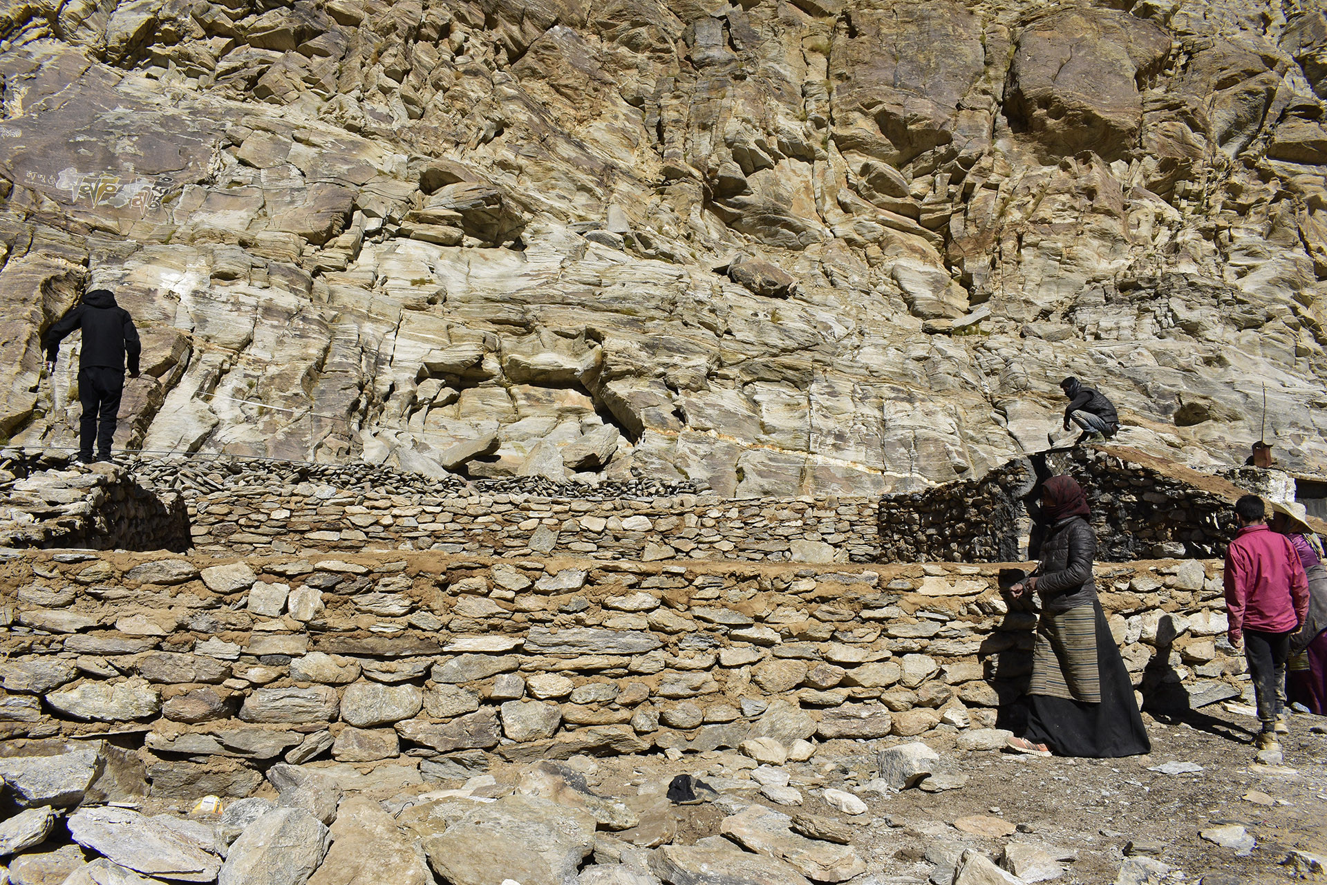 Dorjay dsc - How A Ladakhi Village Came Together To Keep Leopards And Wolves Away From Livestock | Nature inFocus