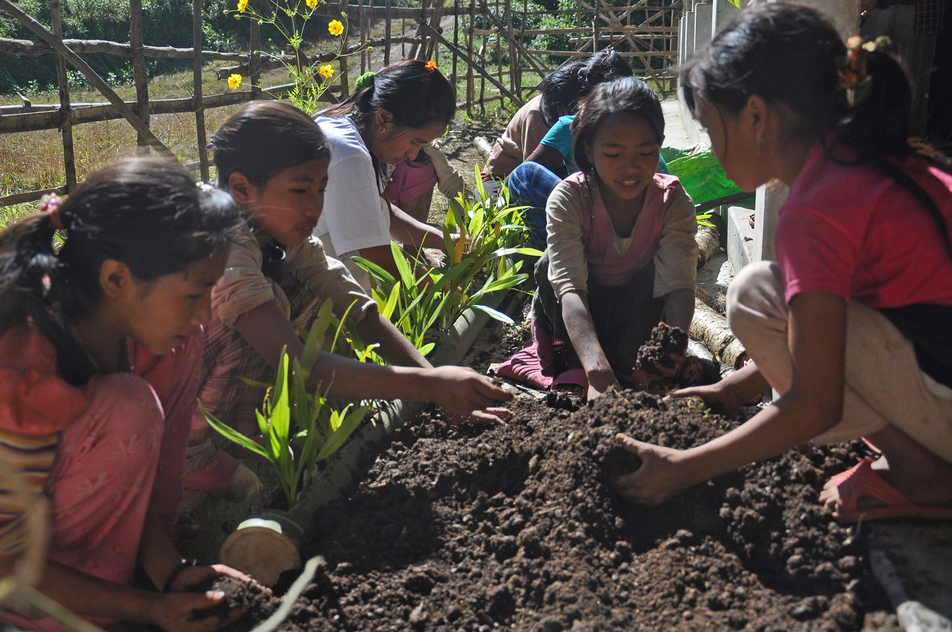 Dsc - Khelia Eco Club | Nature inFocus