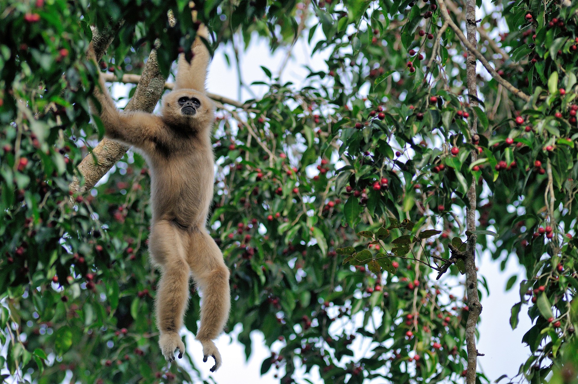 Dsc - Quite Literally, Food For Thought! | Nature inFocus