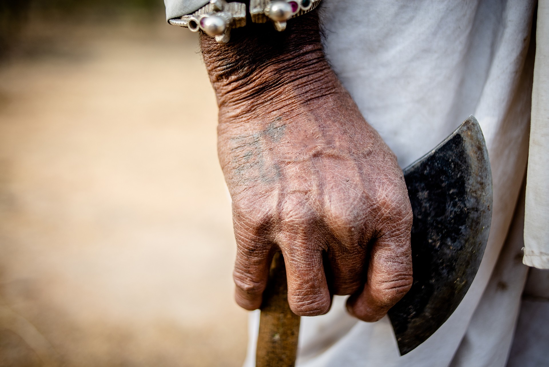 Dsc - In The Kingdom Of Leopards | Nature inFocus