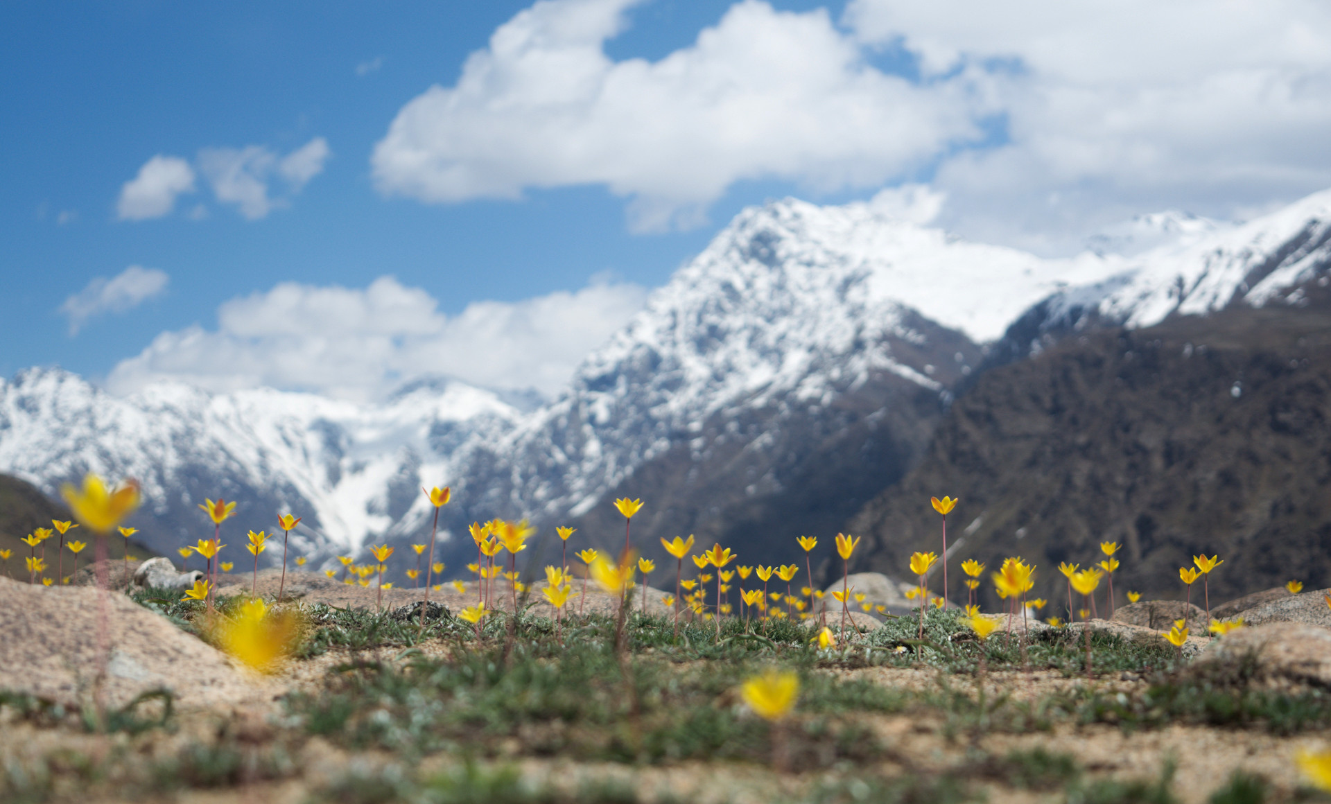 The Himalaya mountains in Kargil, Ladakh