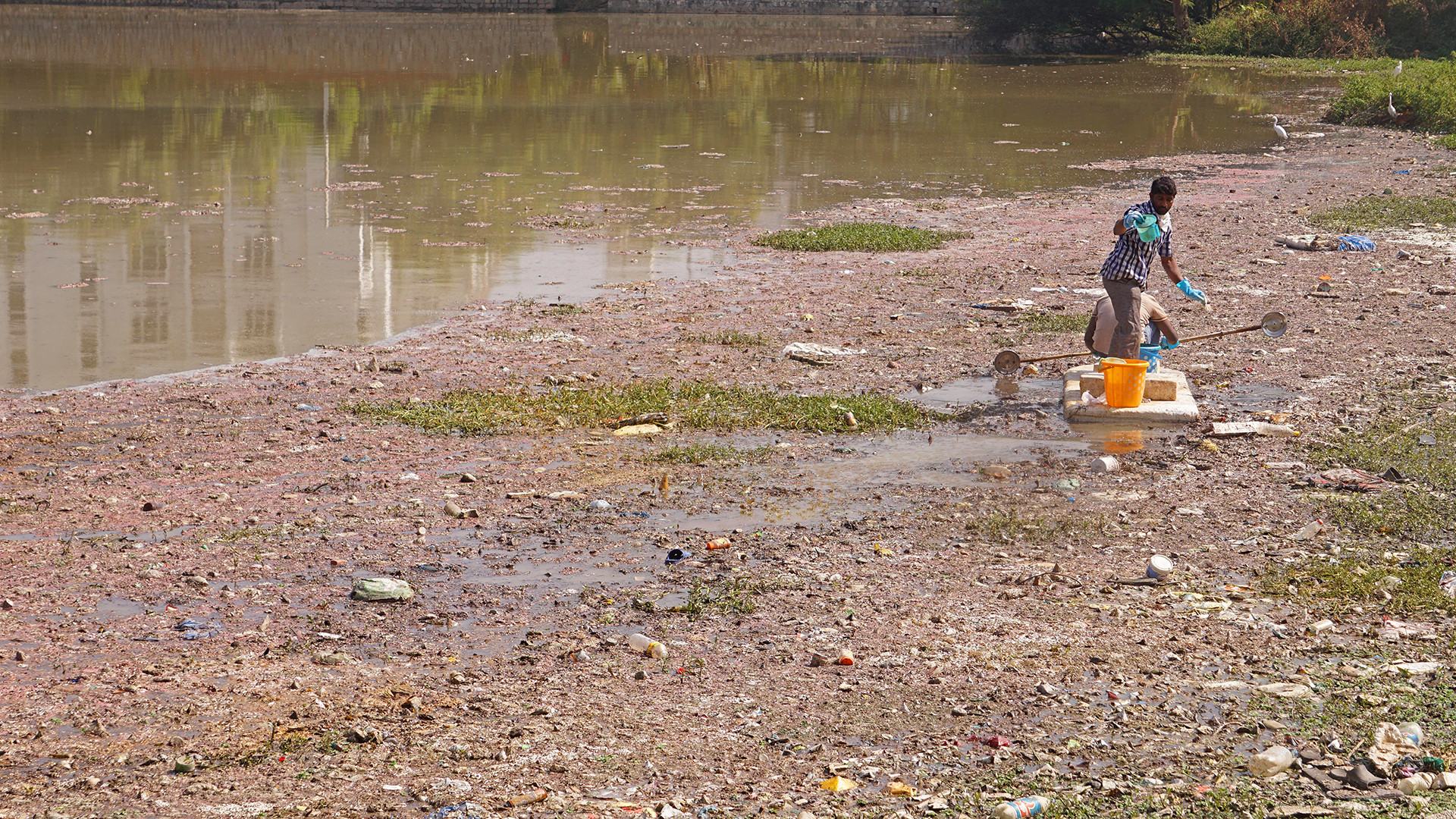 Dsc - Making Cities Water Wise | Nature inFocus